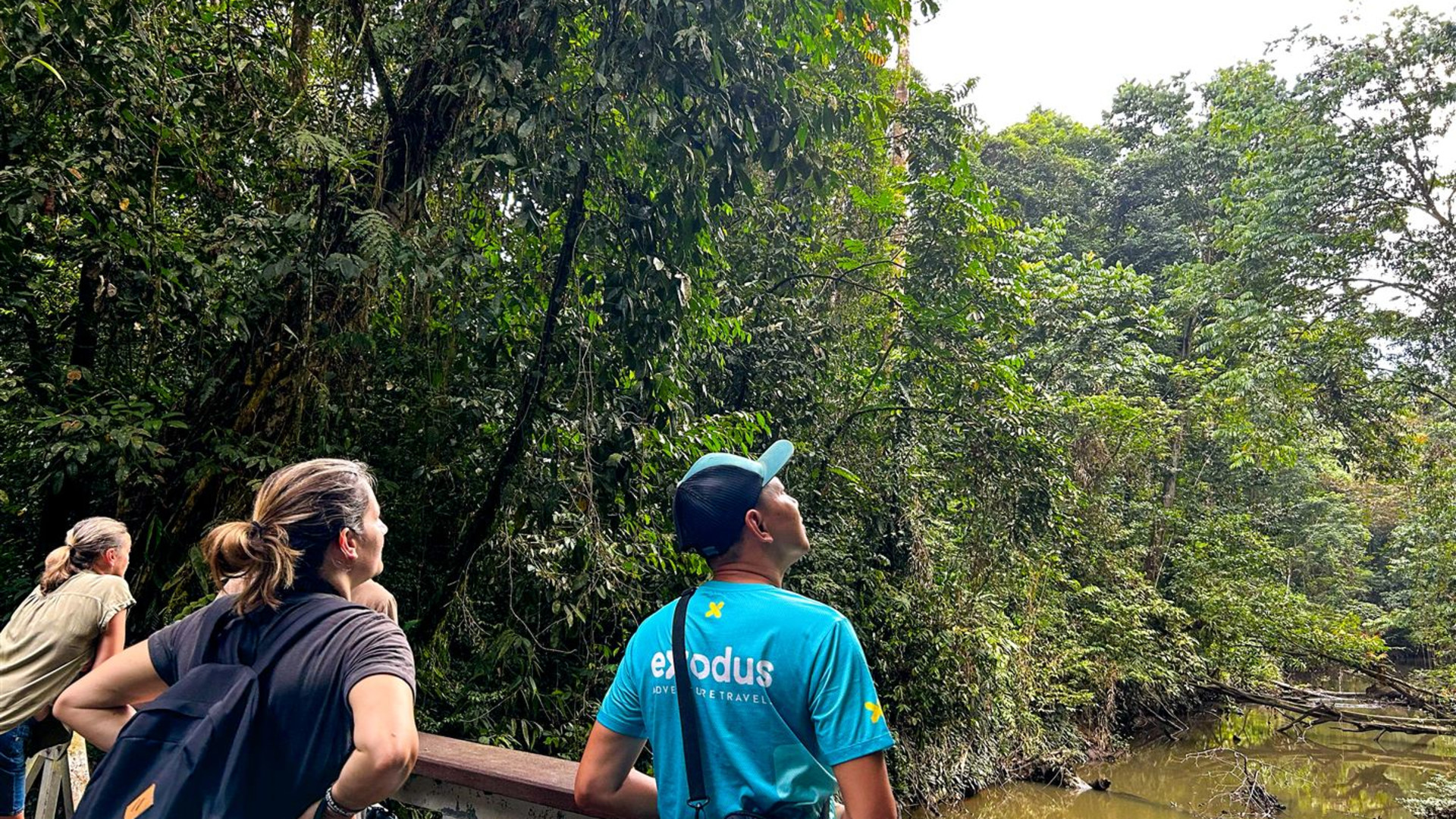 Click to view large image Borneo Wildlife Discoverer