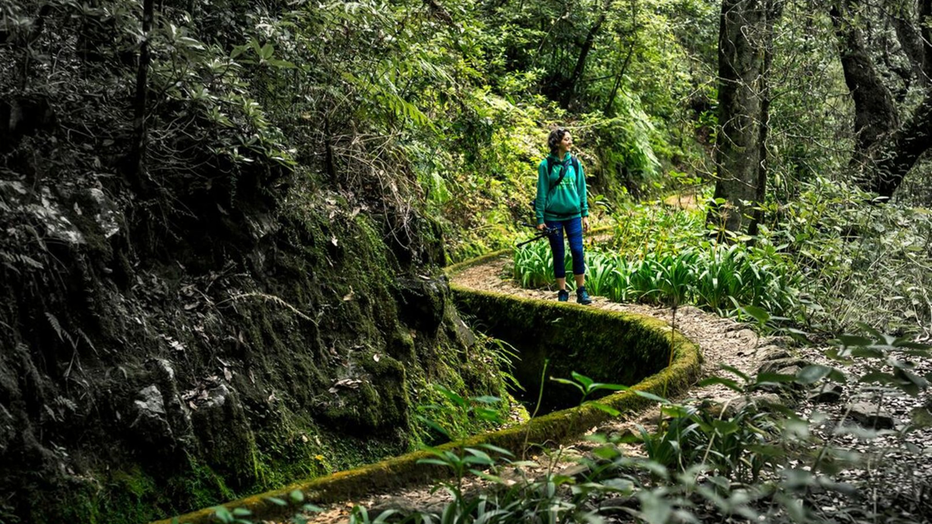 Click to view large image Premium Walking & Hiking in Madeira