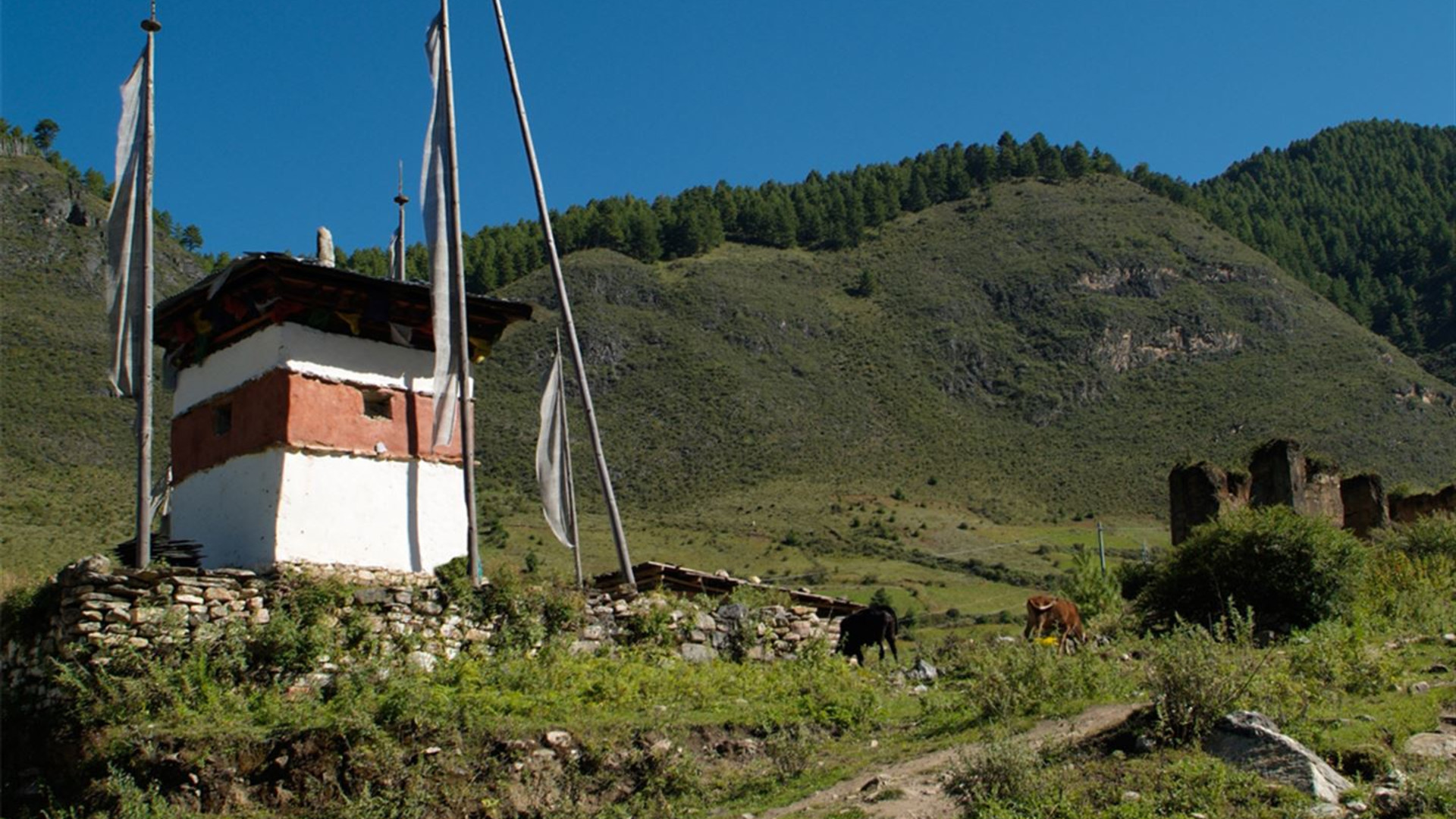 Click to view large image Journeys: Wonders of Bhutan