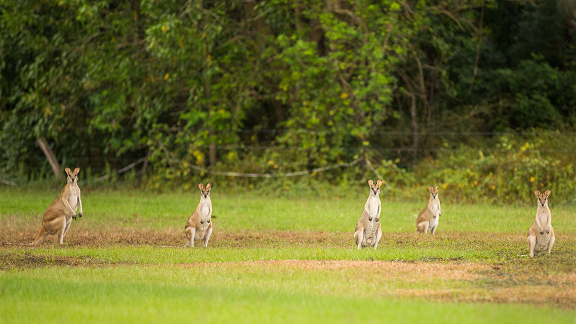 Click to view large image Top End & Kakadu Adventure