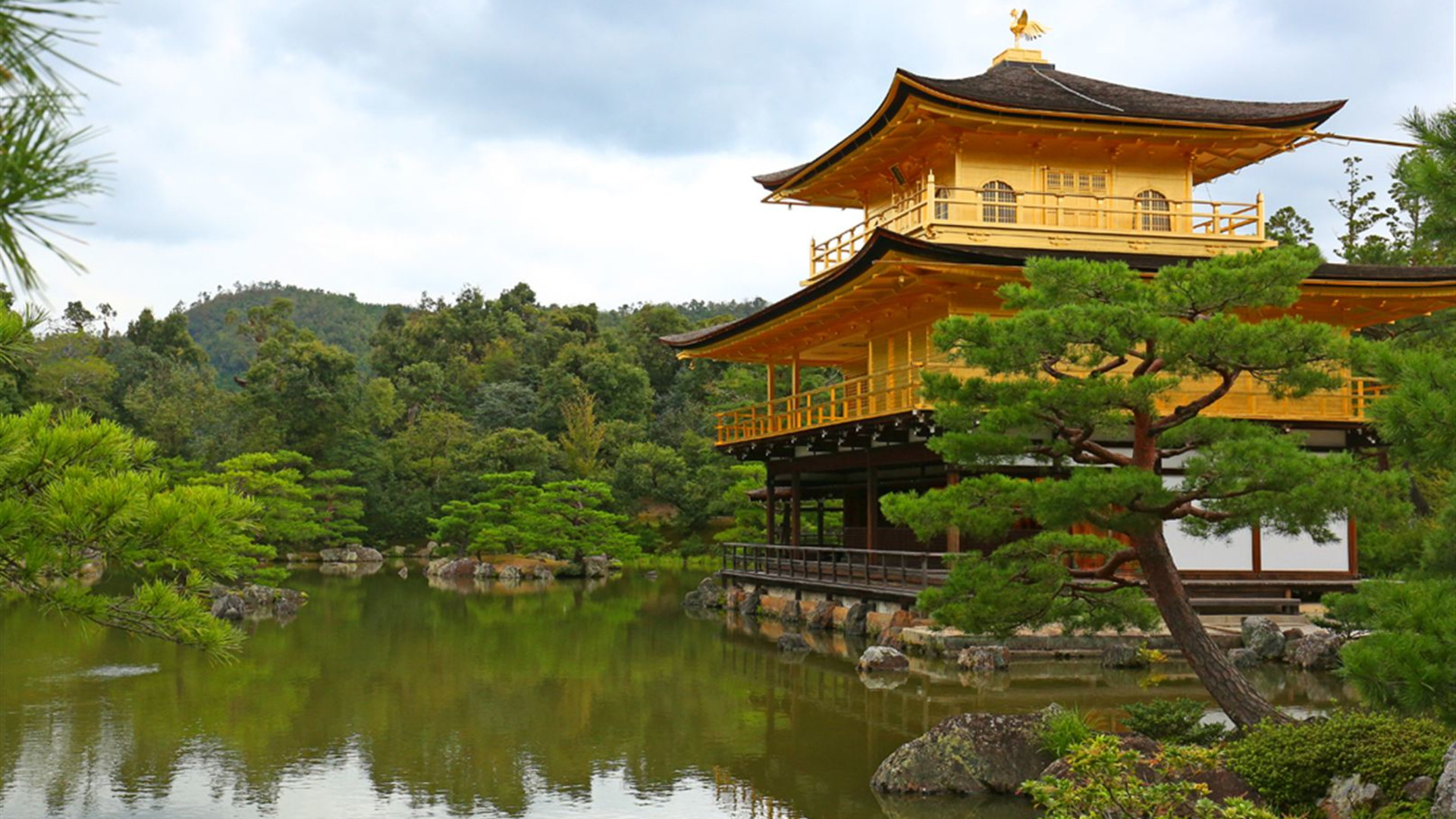 Click to view large image Cycle Japan