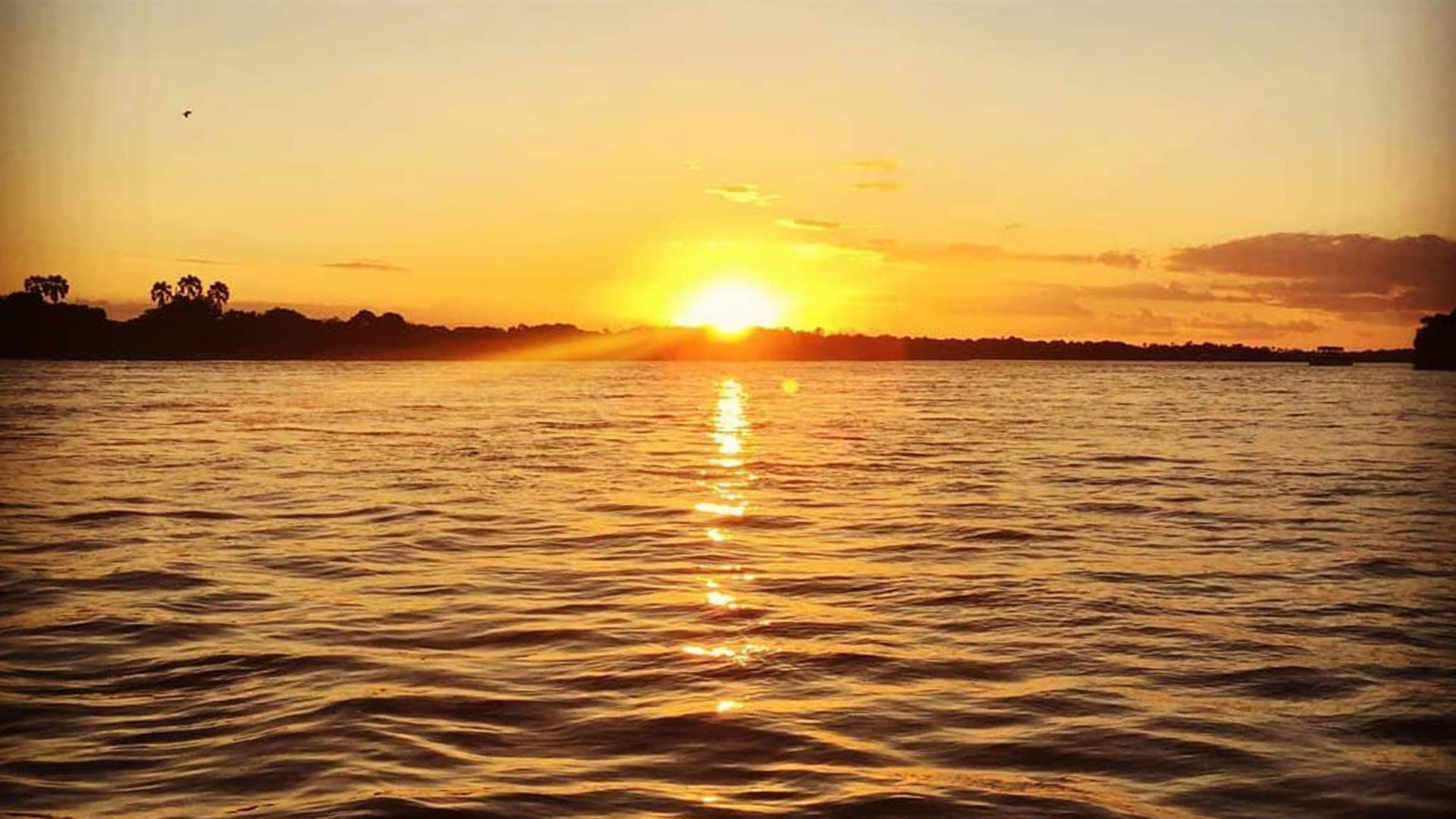 Click to view large image Journeys: Southern Africa Safari Experience