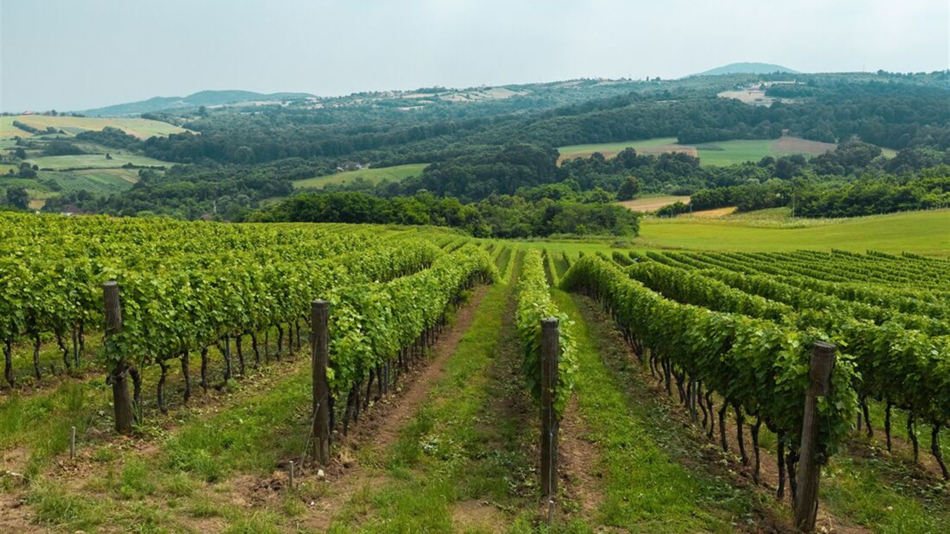 Click to view large image Premium Central Europe