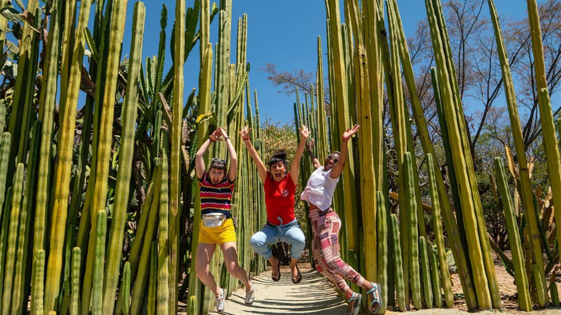 Click to view large image Best of Mexico & Costa Rica