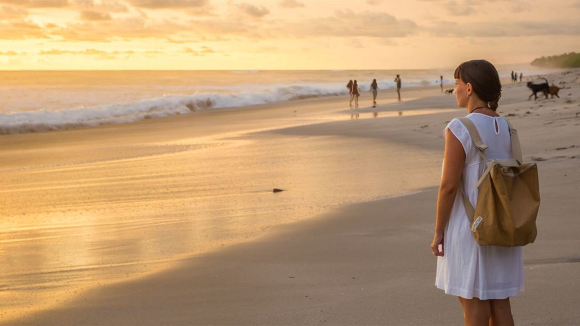 Click to view large image Epic Mexico to Costa Rica