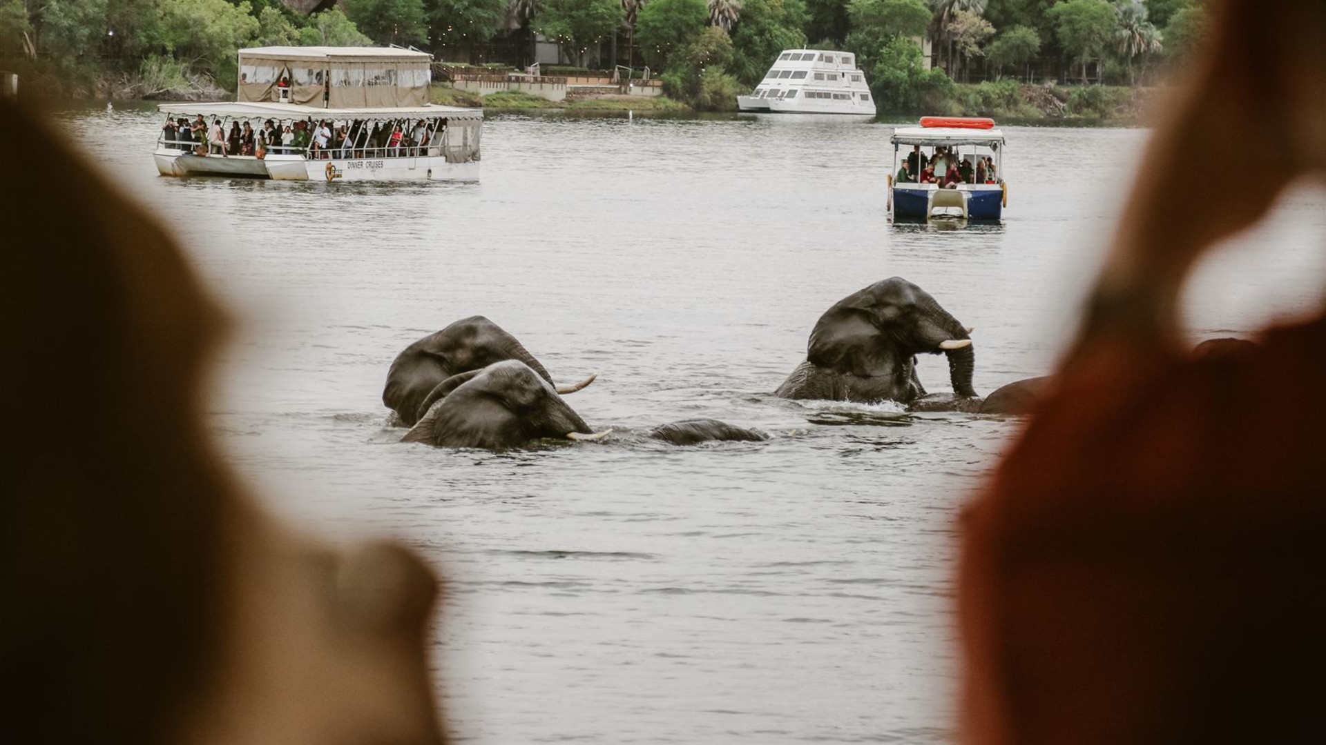 Click to view large image Botswana & Zimbabwe Lodge Safari