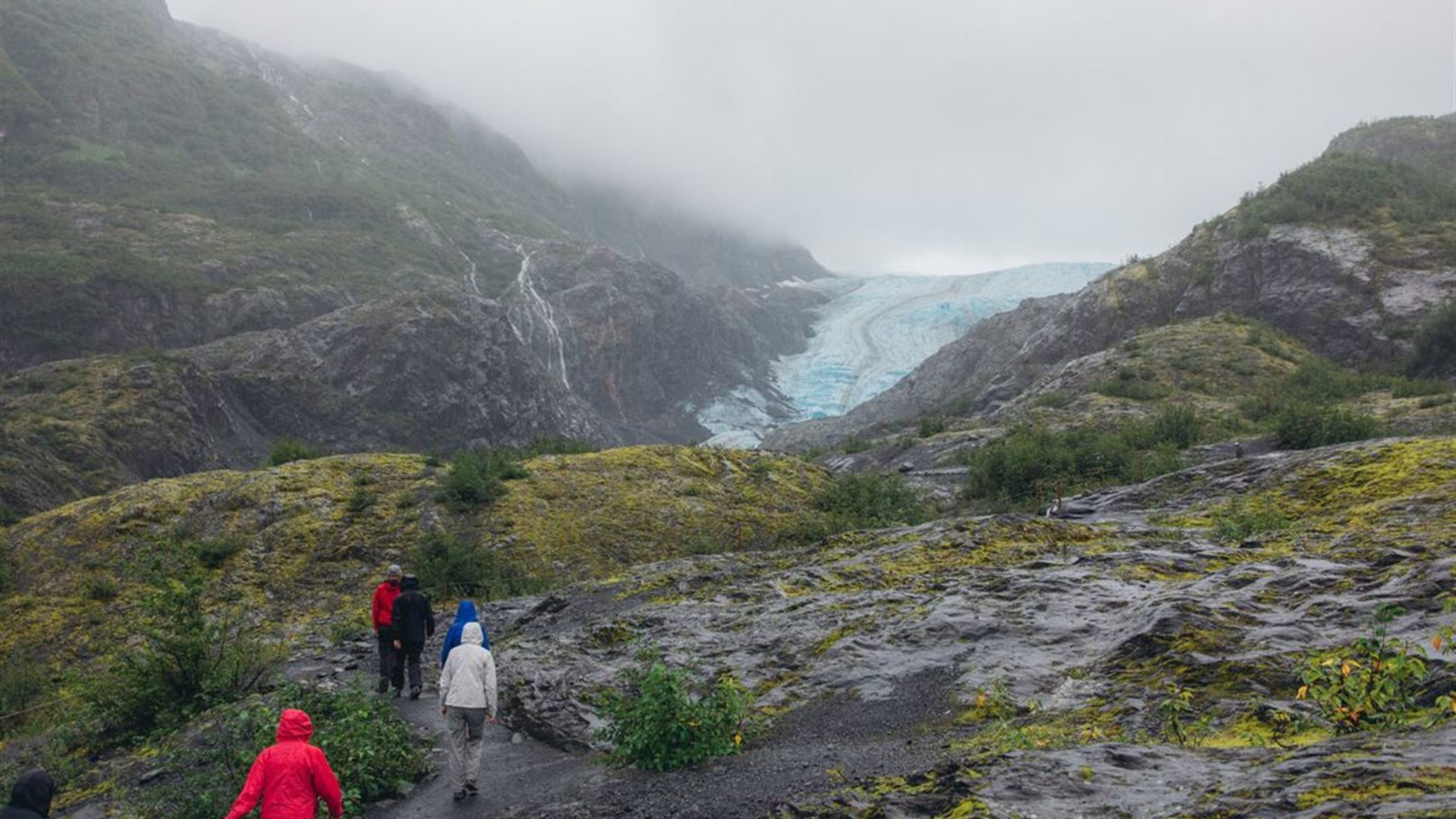 Click to view large image Alaska Hike, Bike & Kayak