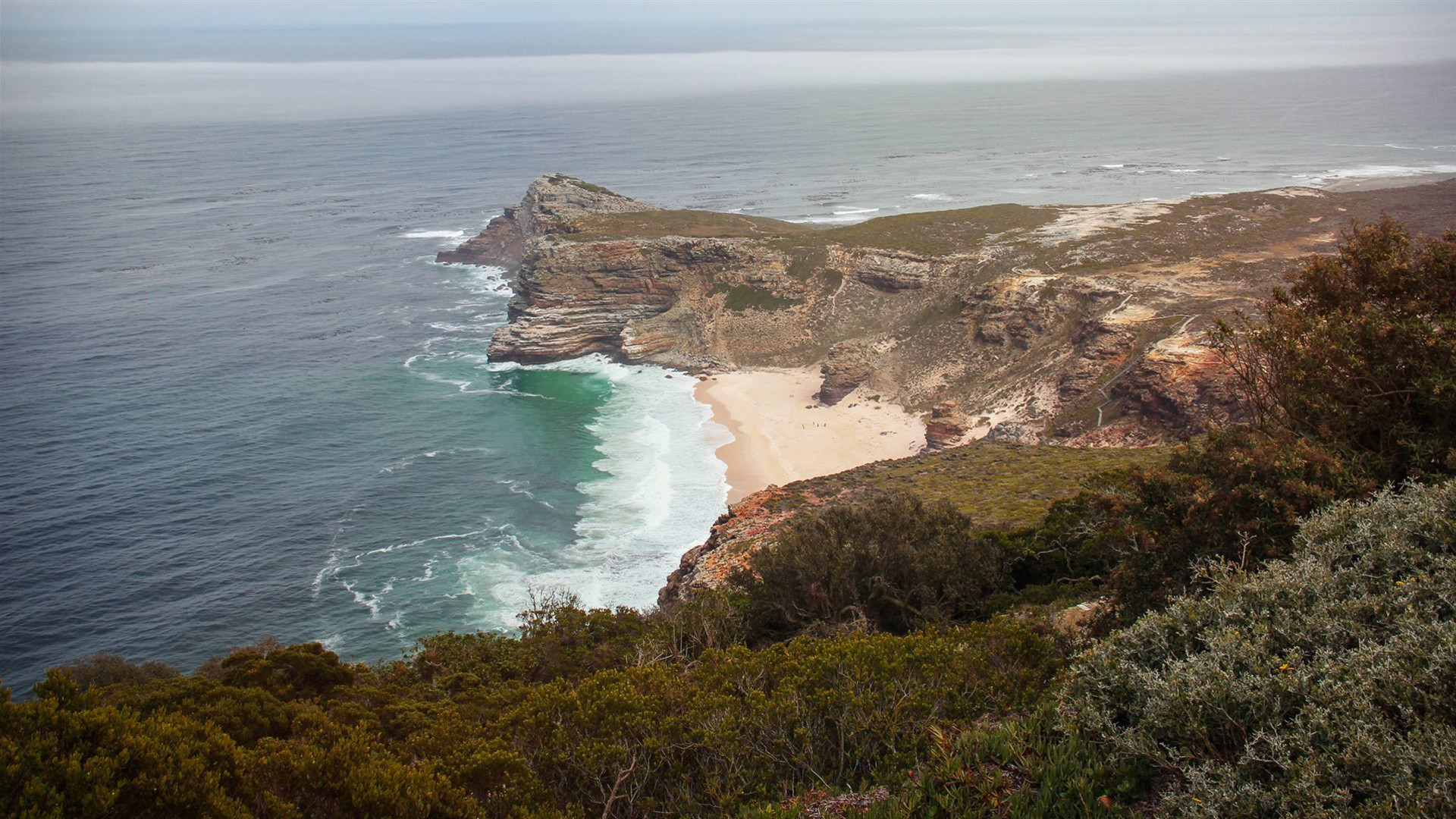 Click to view large image Cape & Dunes Discoverer