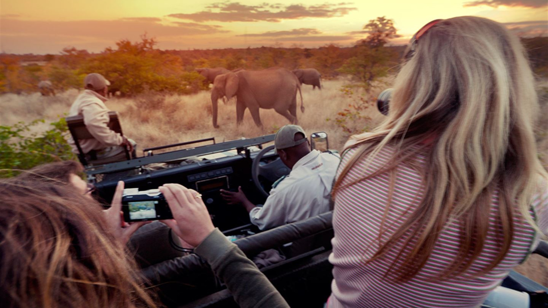 Click to view large image Journeys: Southern Africa Safari Experience