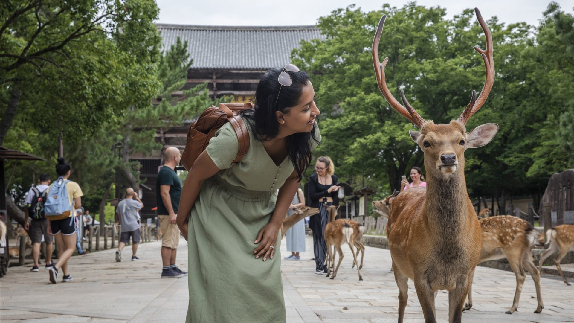 Click to view large image Journeys: Iconic Japan