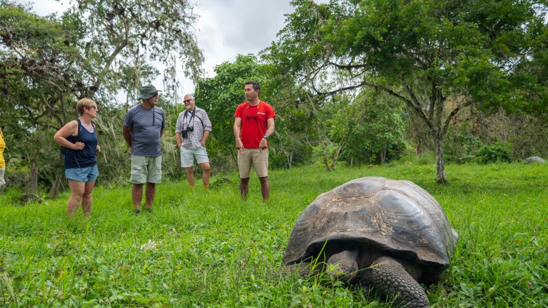 Click to view large image Complete Galapagos (Grand Daphne)