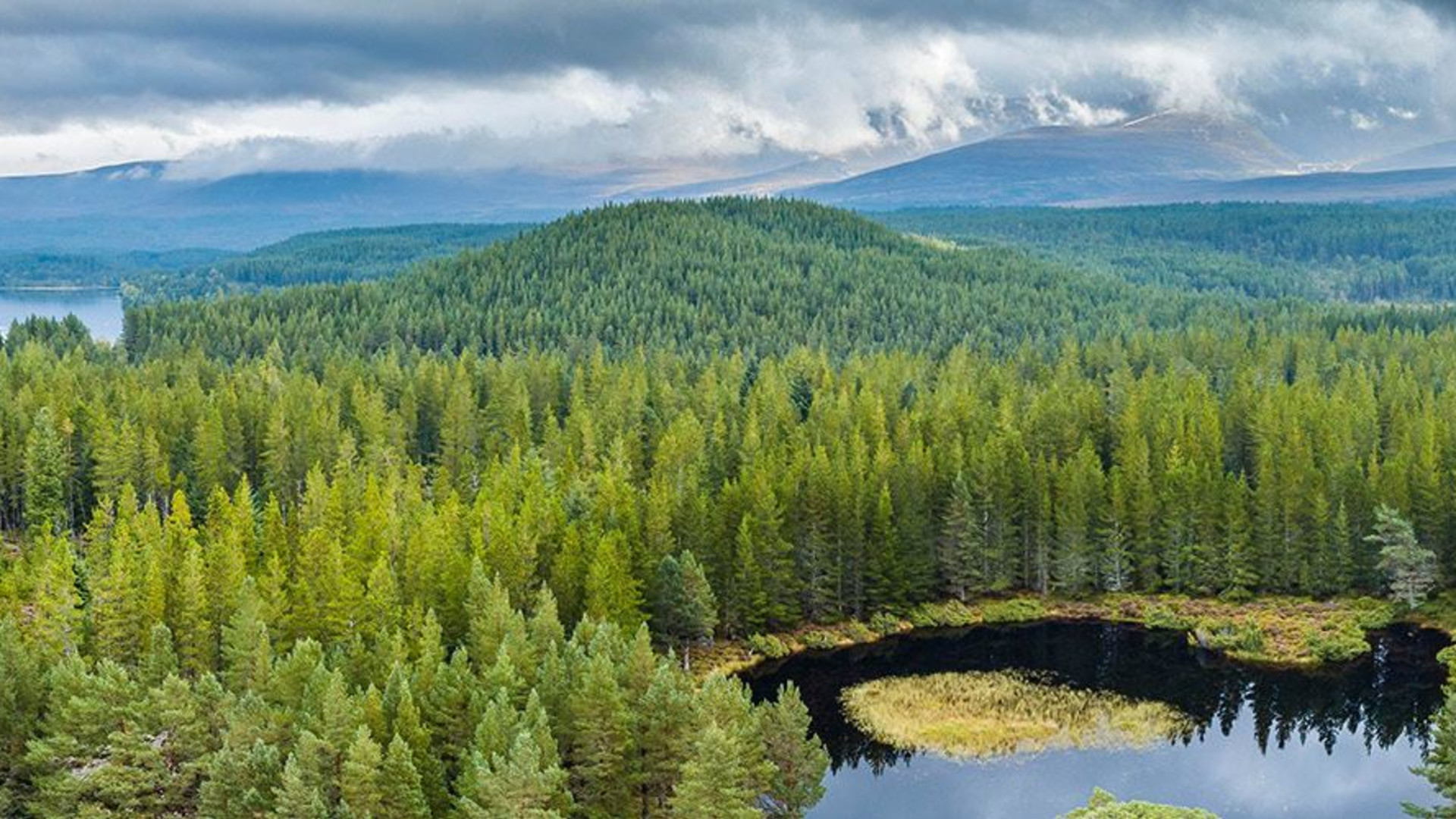 Click to view large image Premium Scotland