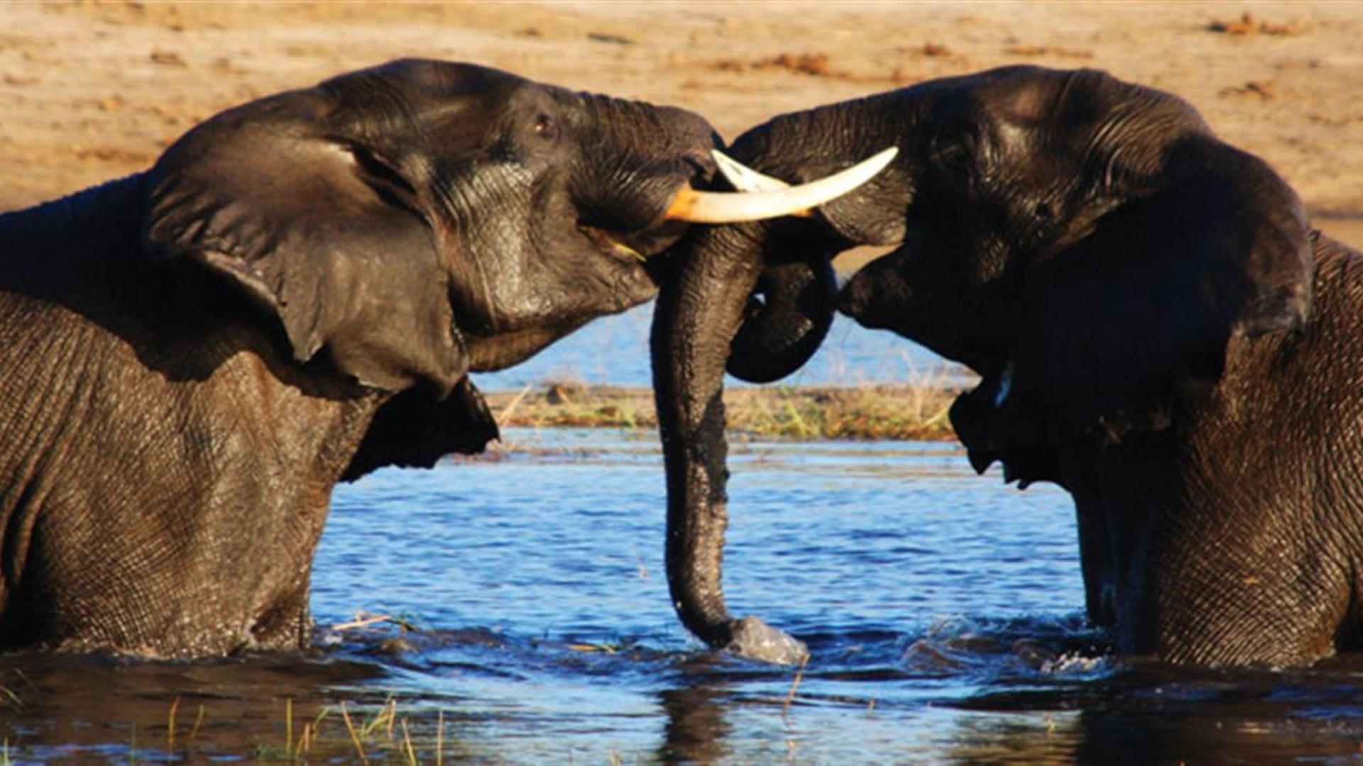 Click to view large image Vic Falls to Cape Town