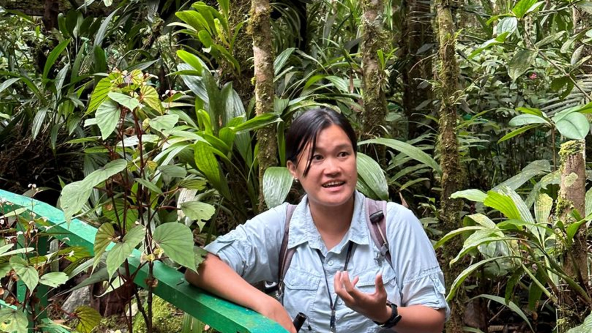 Click to view large image Borneo Wildlife Discoverer