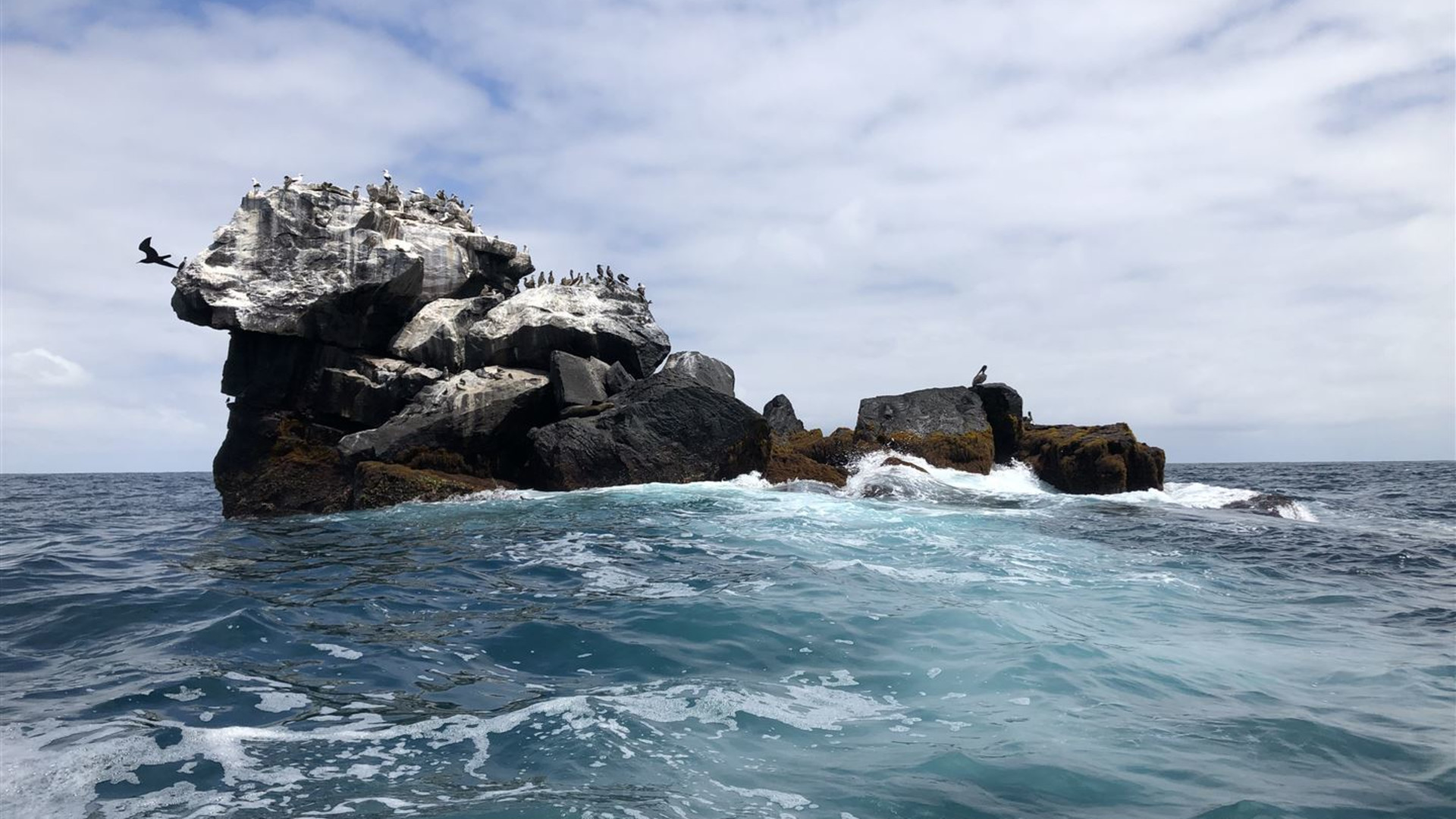 Click to view large image Galapagos — South & East Islands aboard the Eden