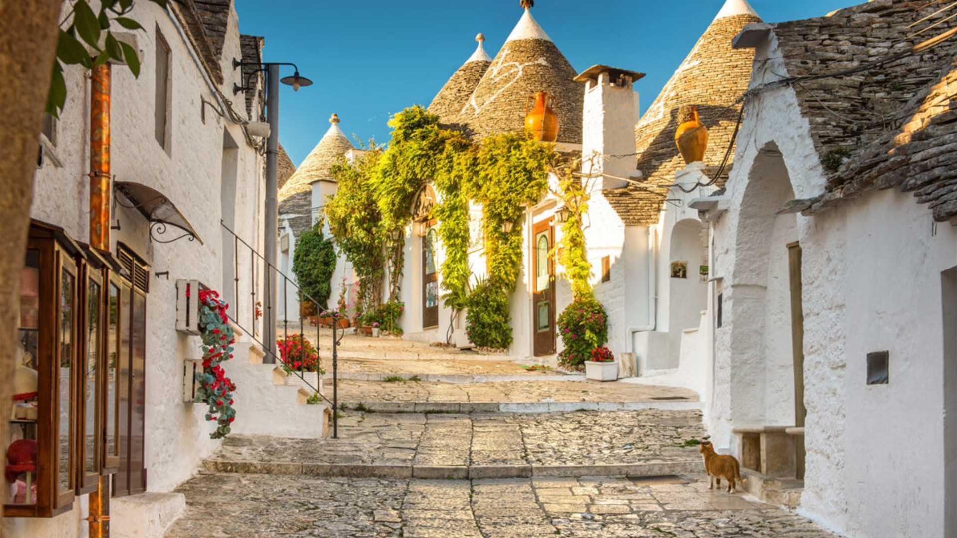 Click to view large image Cycling Puglia & Matera