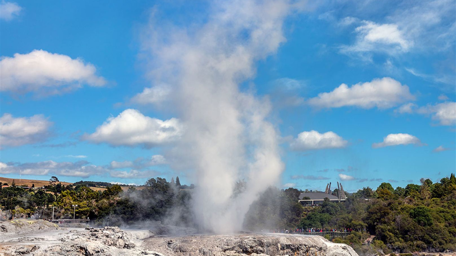 Click to view large image Premium New Zealand North Island