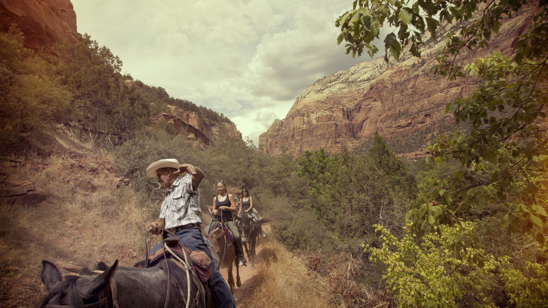 Click to view large image USA Road Trip: Big Cities & West Coast Parks