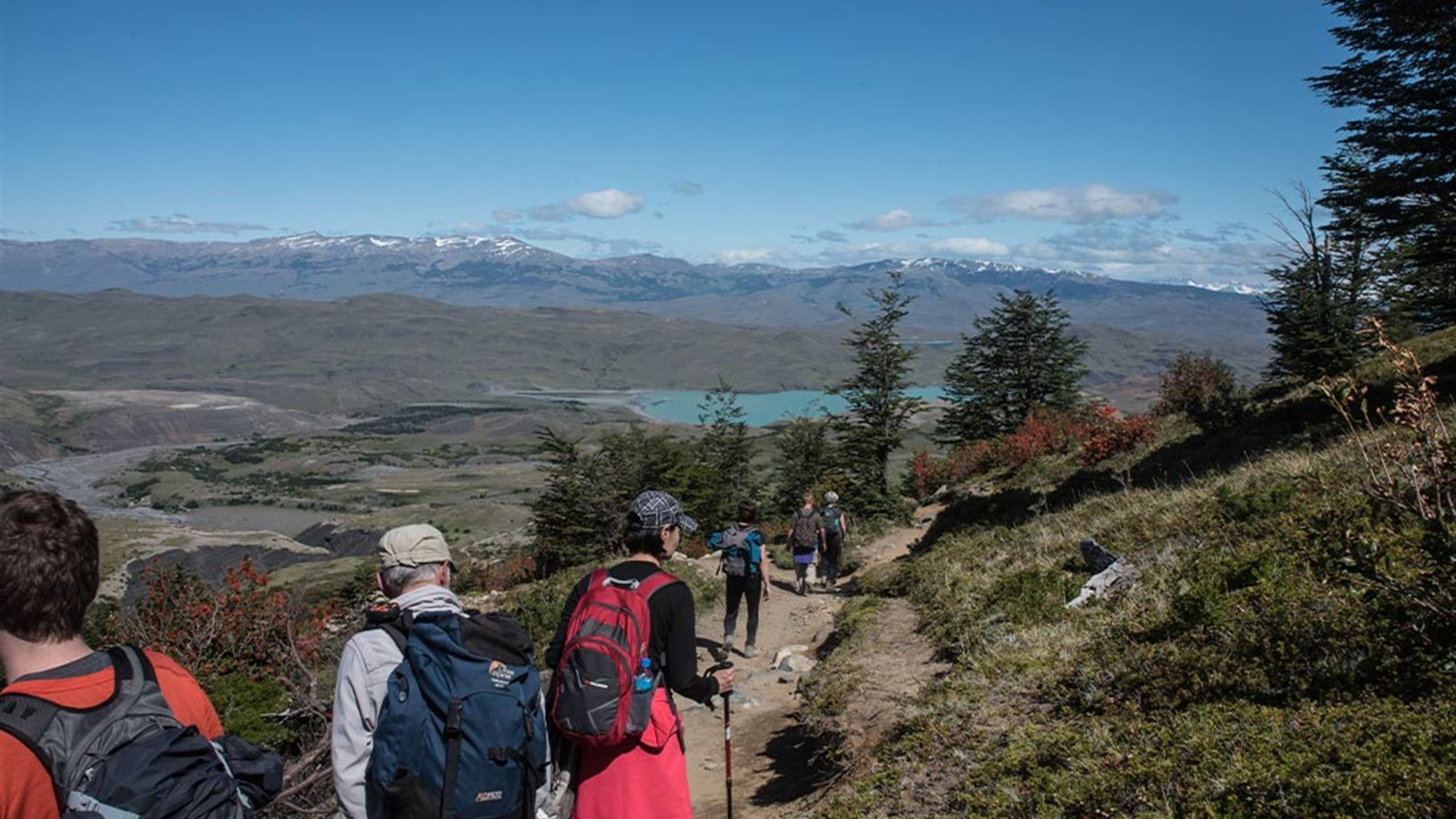 Click to view large image Premium Patagonia