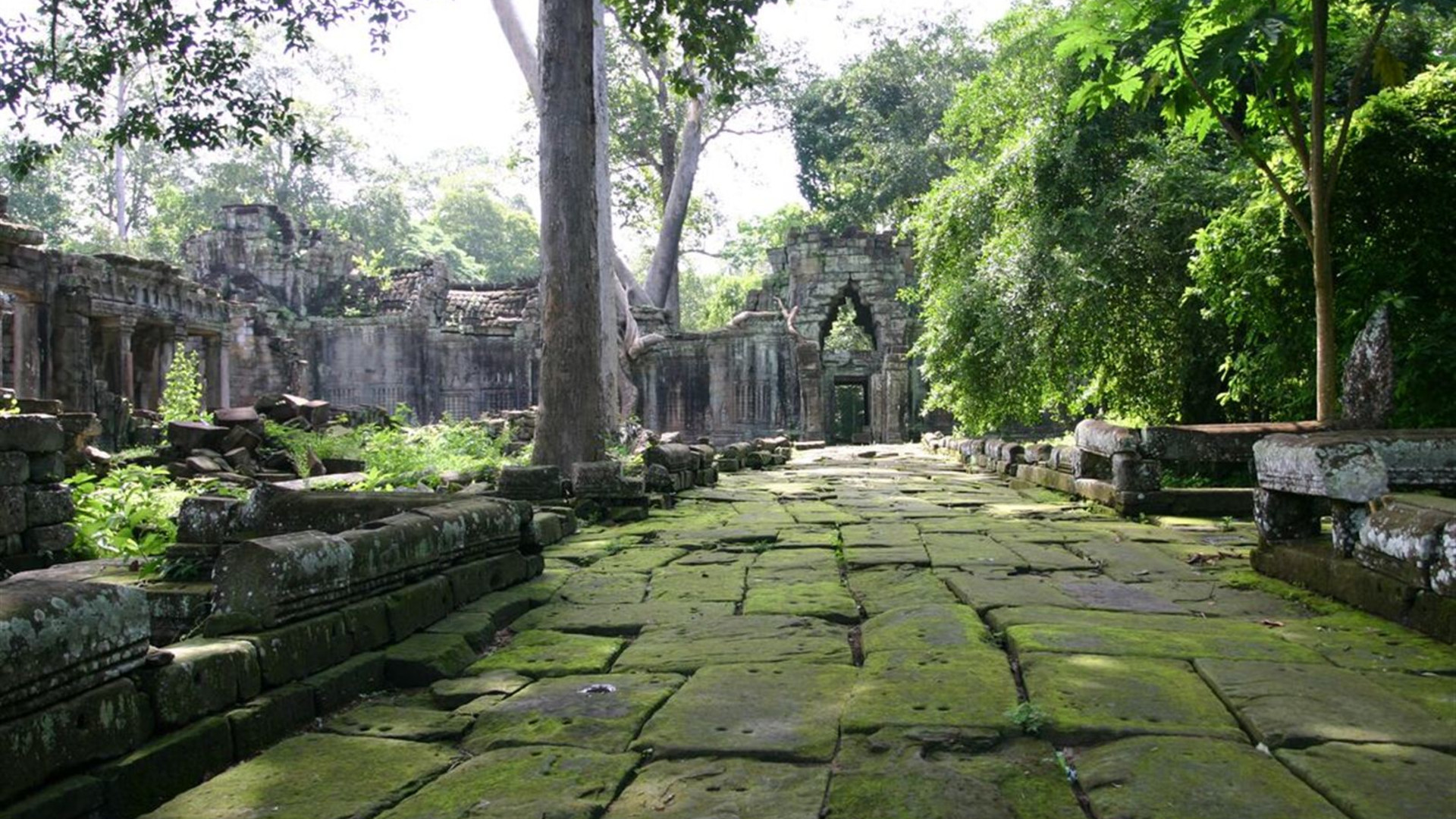 Click to view large image Cambodia's Secrets of Angkor