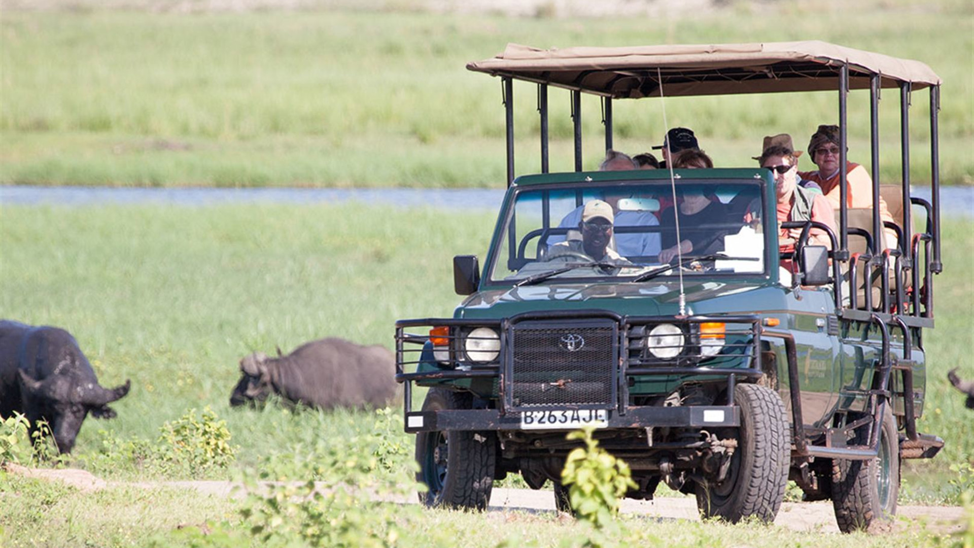 Click to view large image Premium Botswana