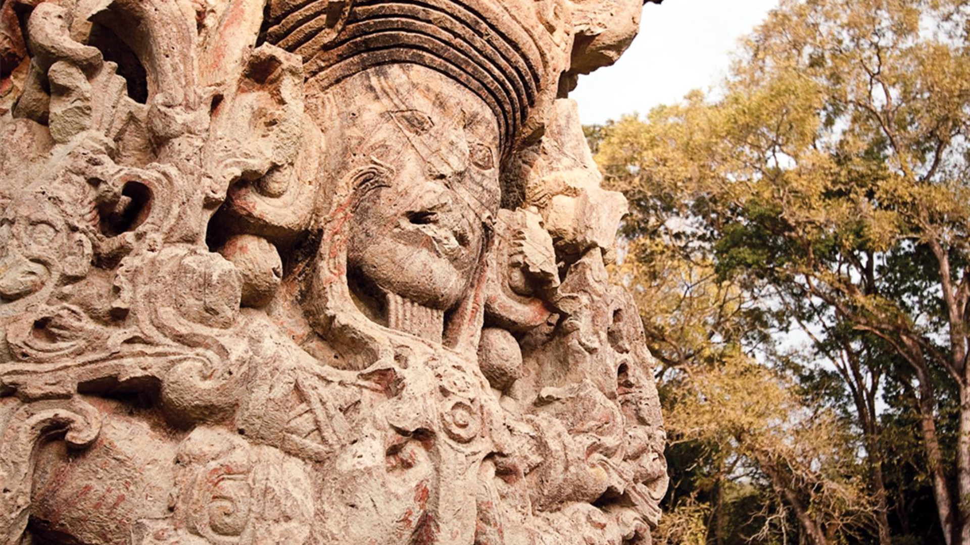 Click to view large image Total Central America: Two Months of Wild