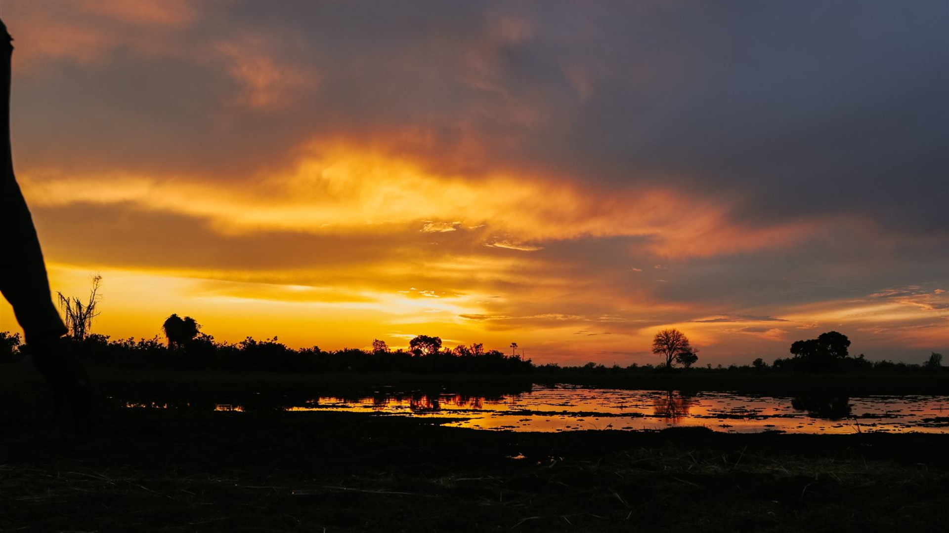 Click to view large image Botswana & Zimbabwe Lodge Safari