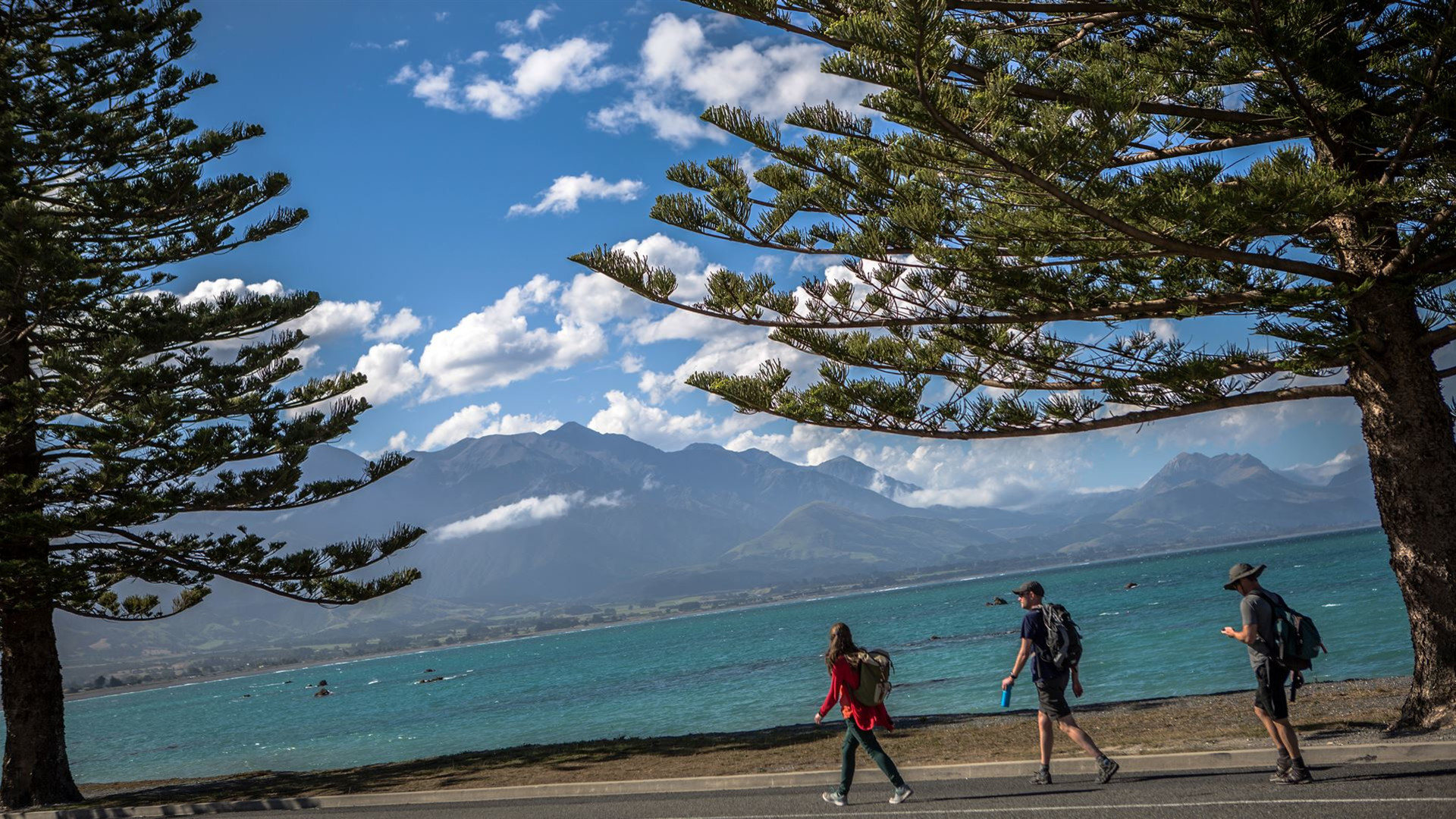 Click to view large image New Zealand: South Island Encompassed
