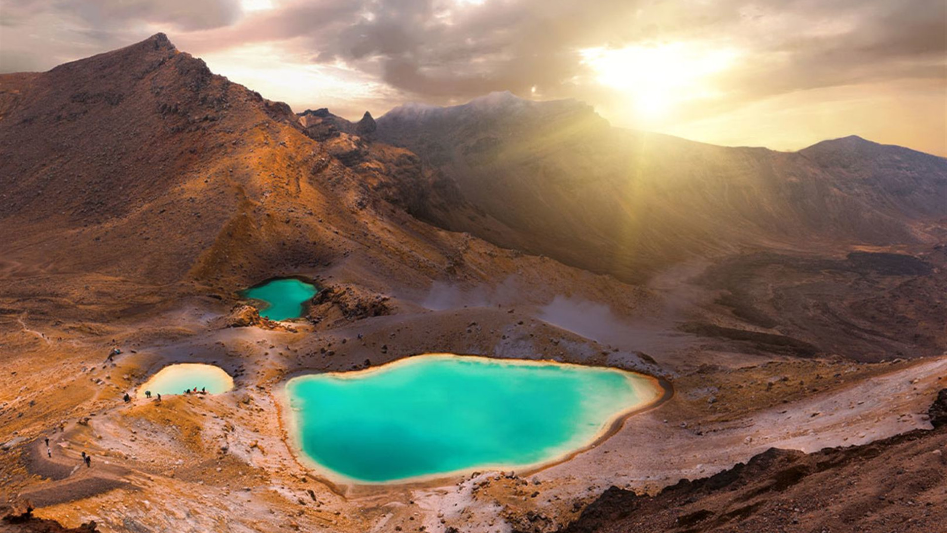 Click to view large image Premium New Zealand Encompassed