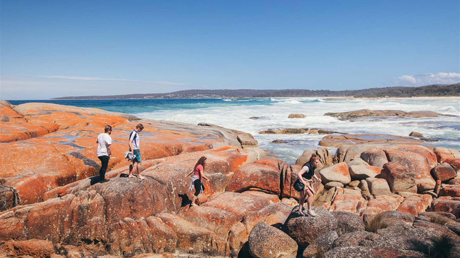 Click to view large image Walk Tasmania's Bay of Fires