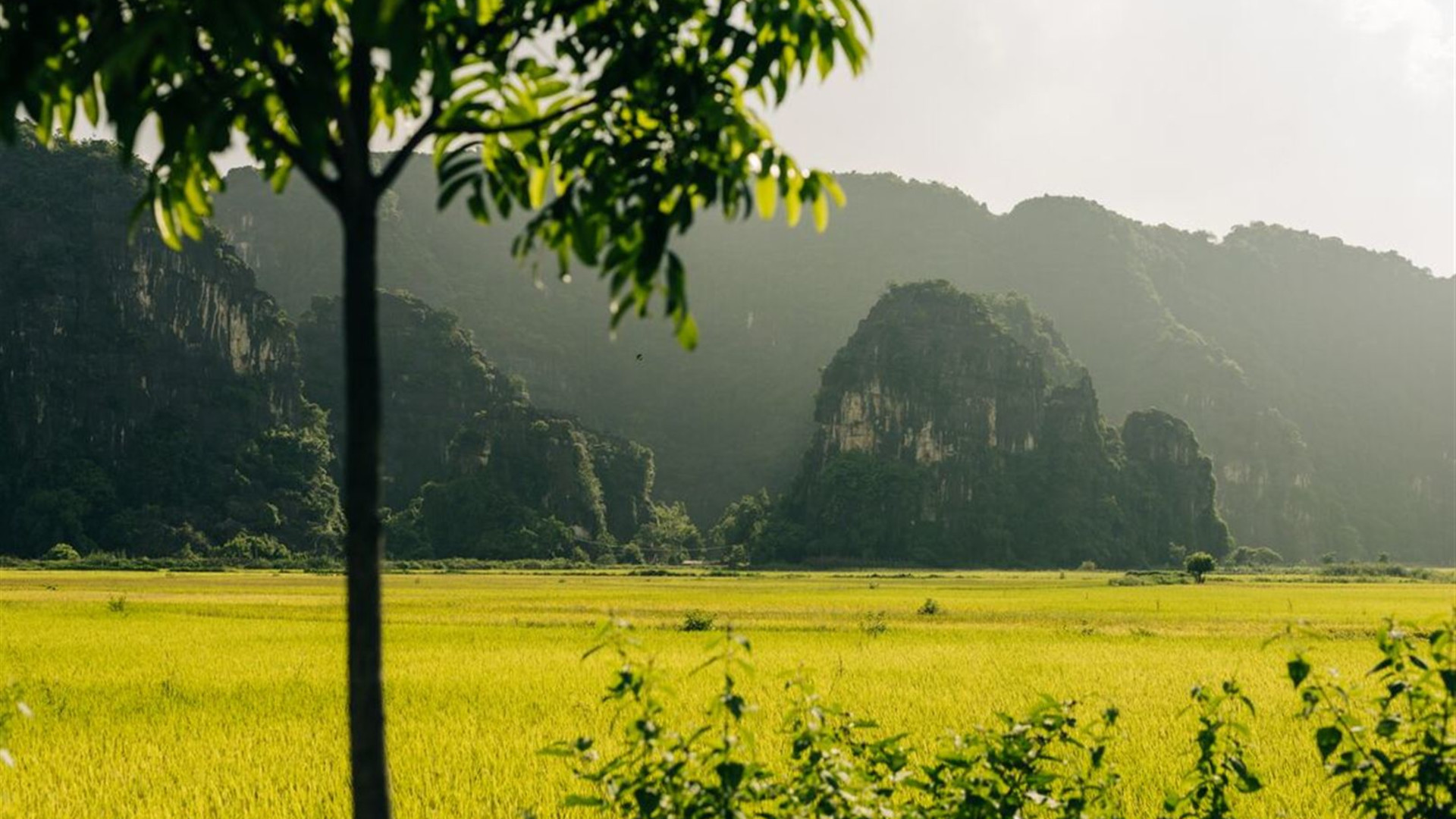 Click to view large image Vietnam Short Break: Hanoi to Ninh Binh