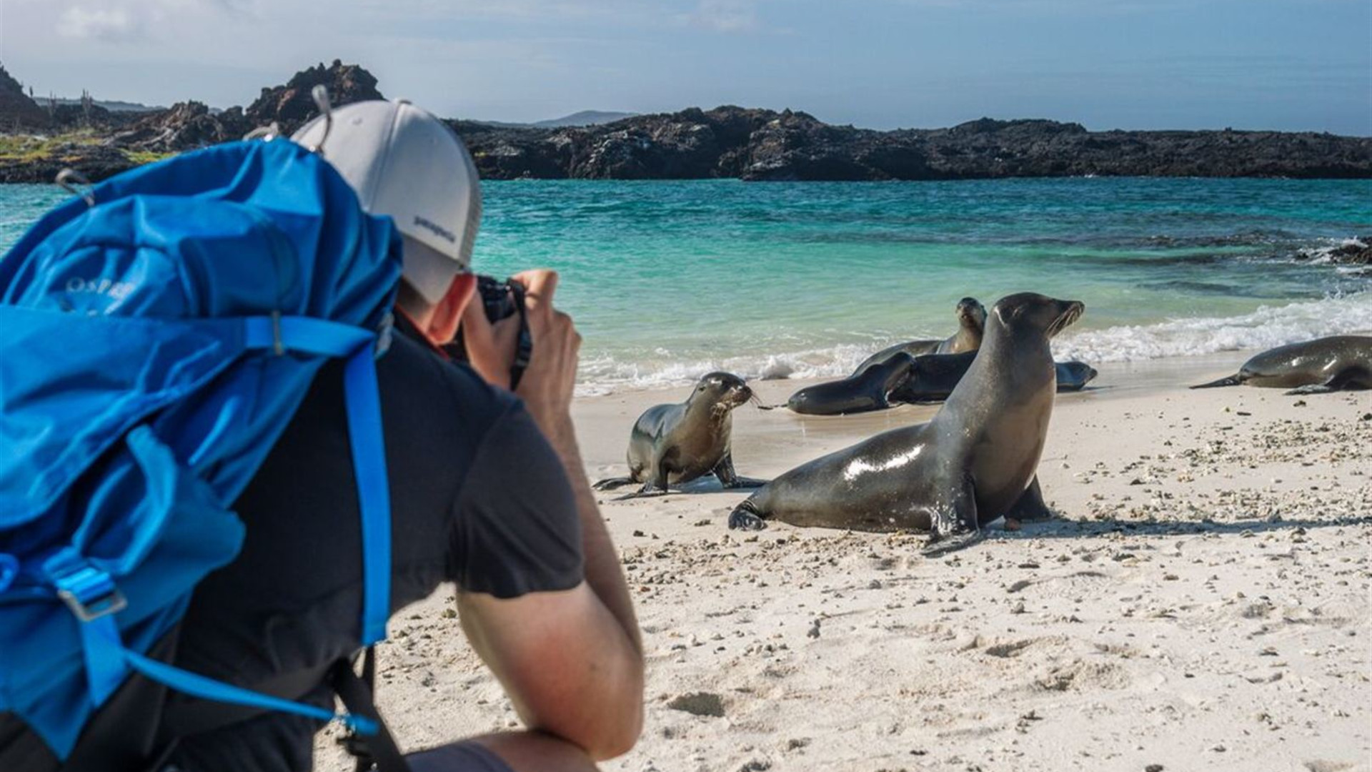 Click to view large image Galapagos Adventure: Northern Islands (Grand Daphne)
