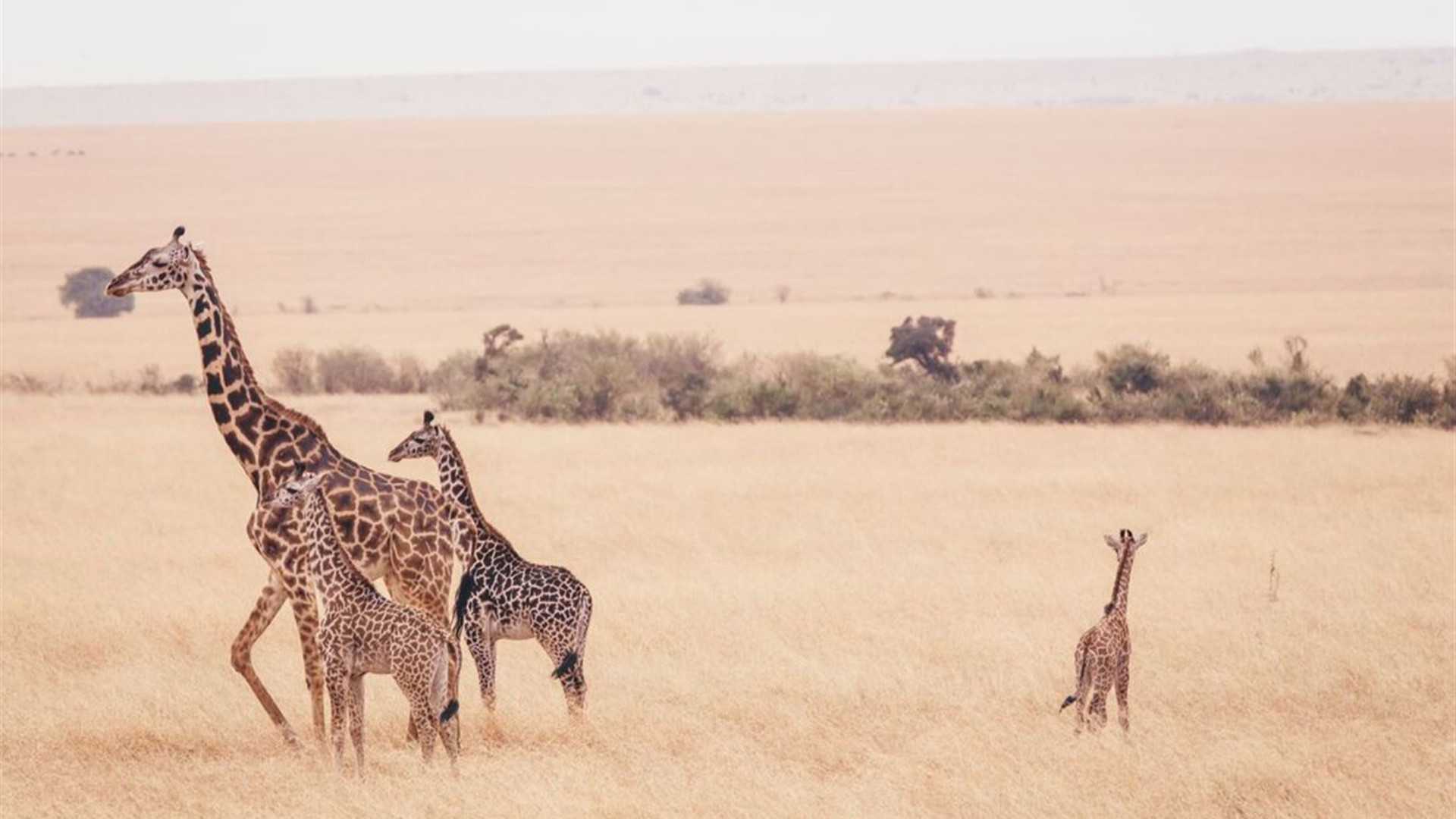 Click to view large image Africa Encompassed Southbound