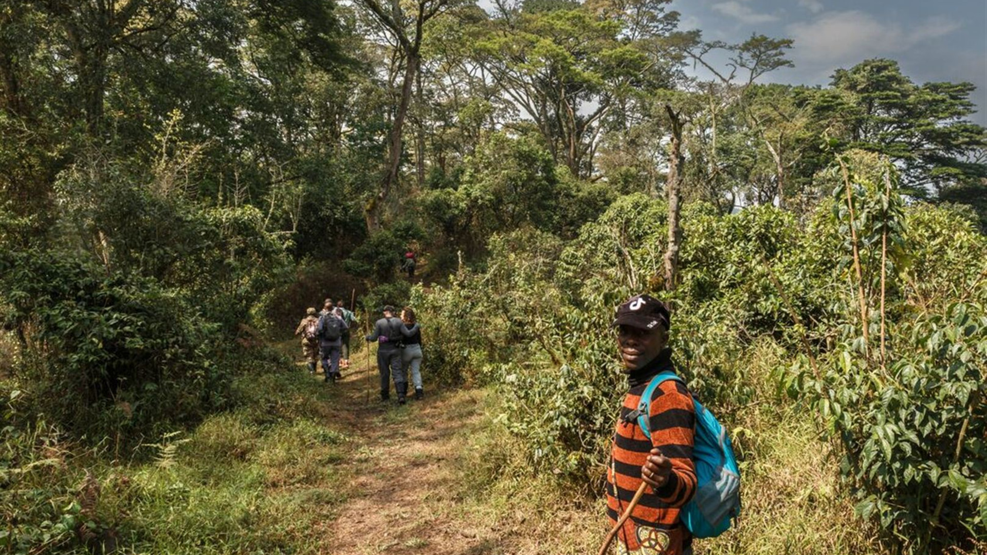 Click to view large image Premium Rwanda & Gorillas of Uganda