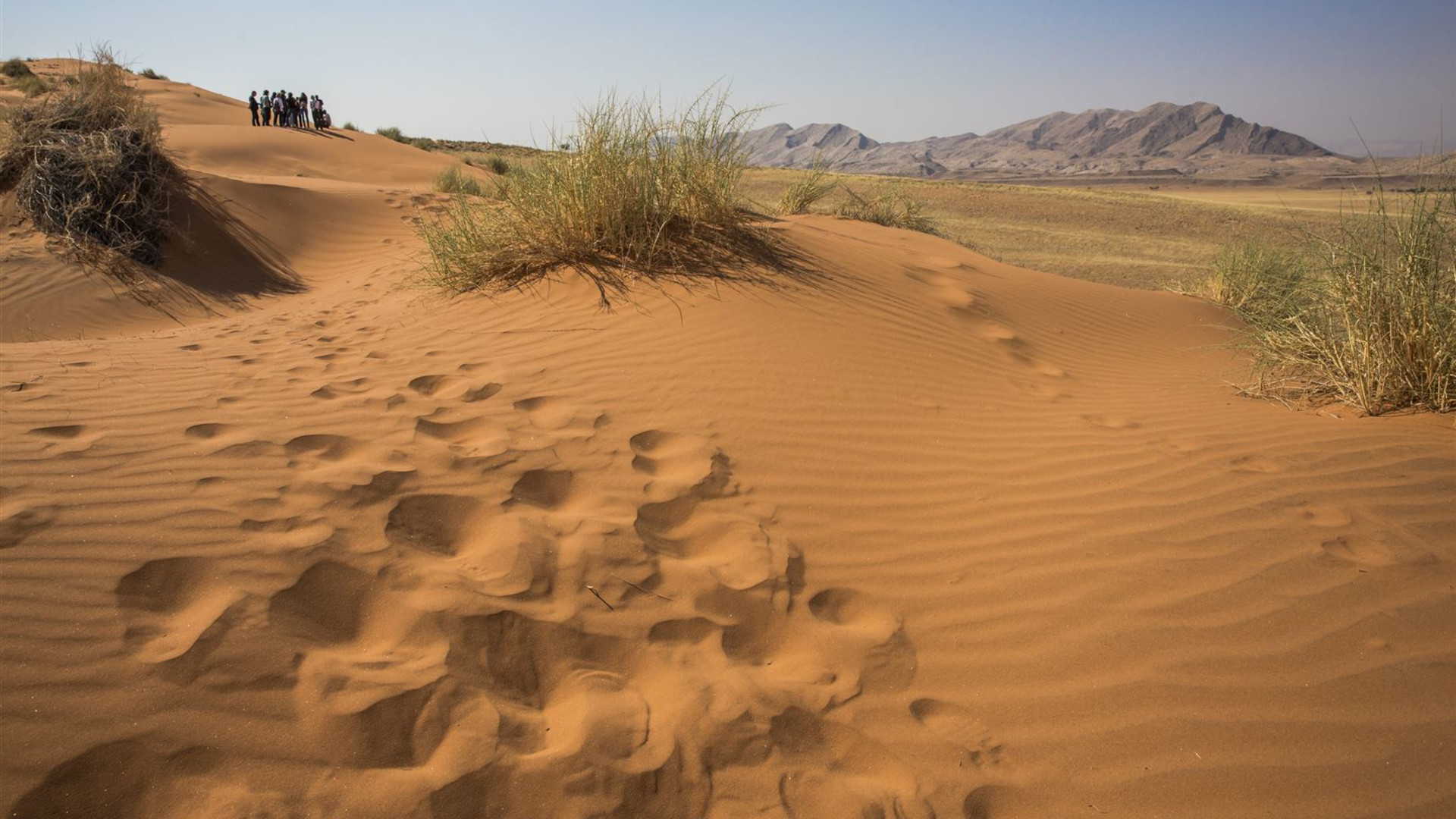 Click to view large image Southern Africa Northbound: Dunes, Deltas & Falls