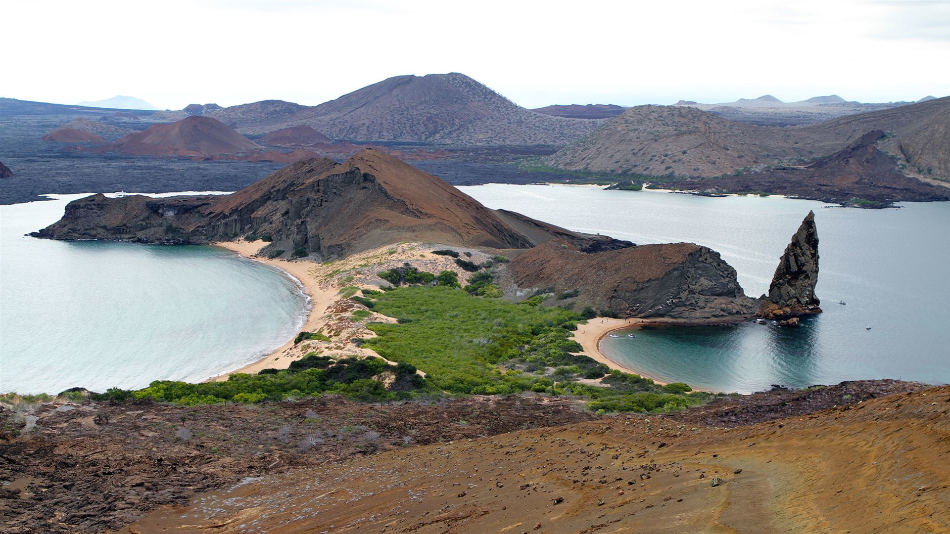 Click to view large image Galapagos — North, Central, & South Islands aboard the Eden