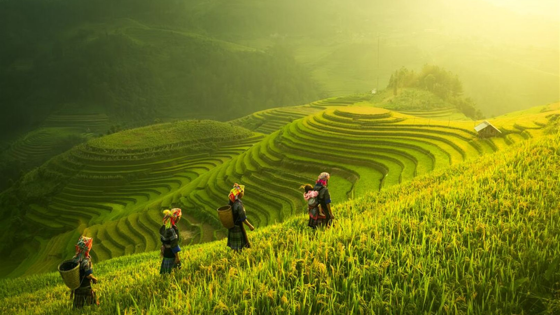 Click to view large image Premium Walking & Hiking in Vietnam