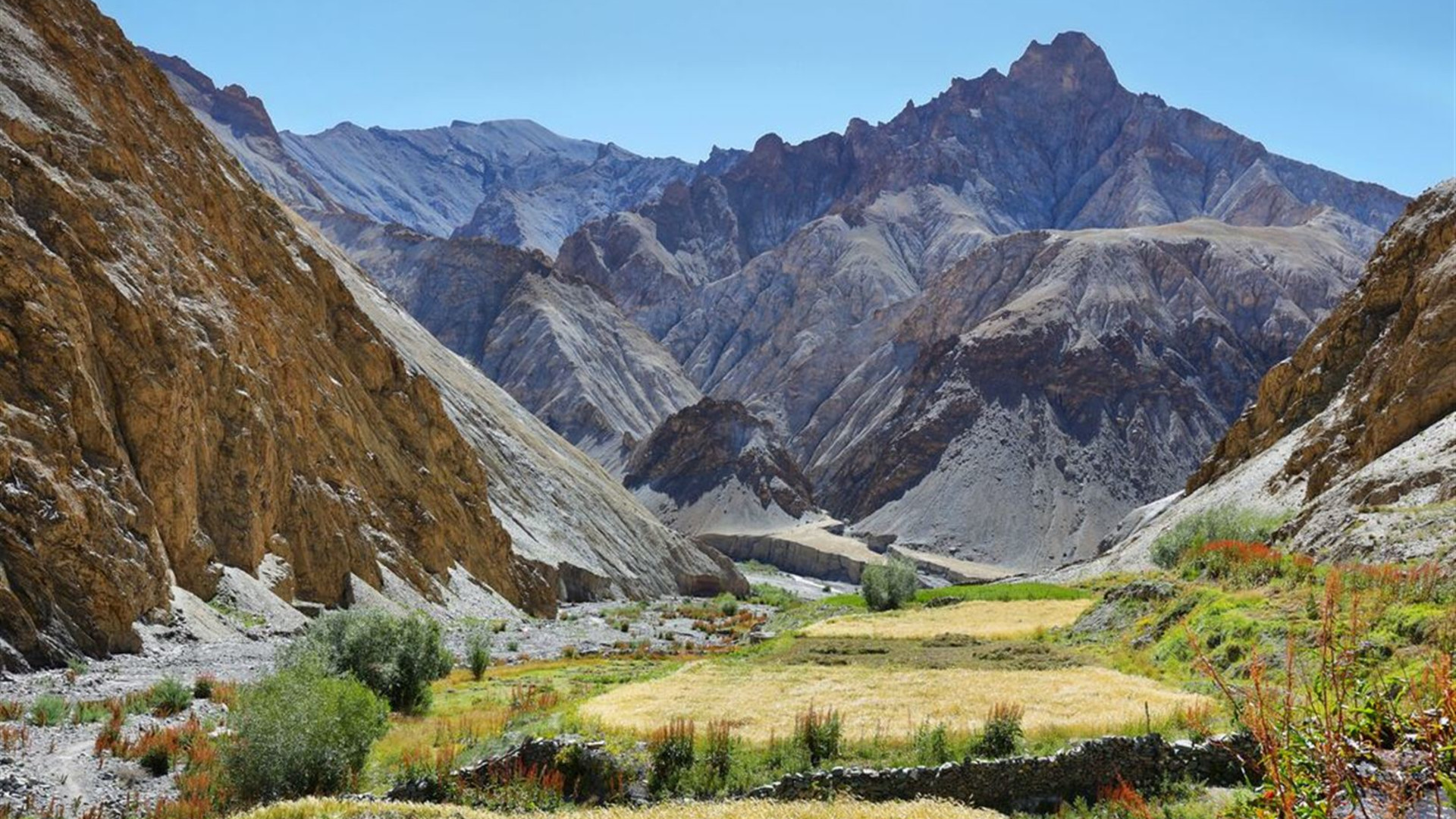 Click to view large image India: Trekking in Ladakh