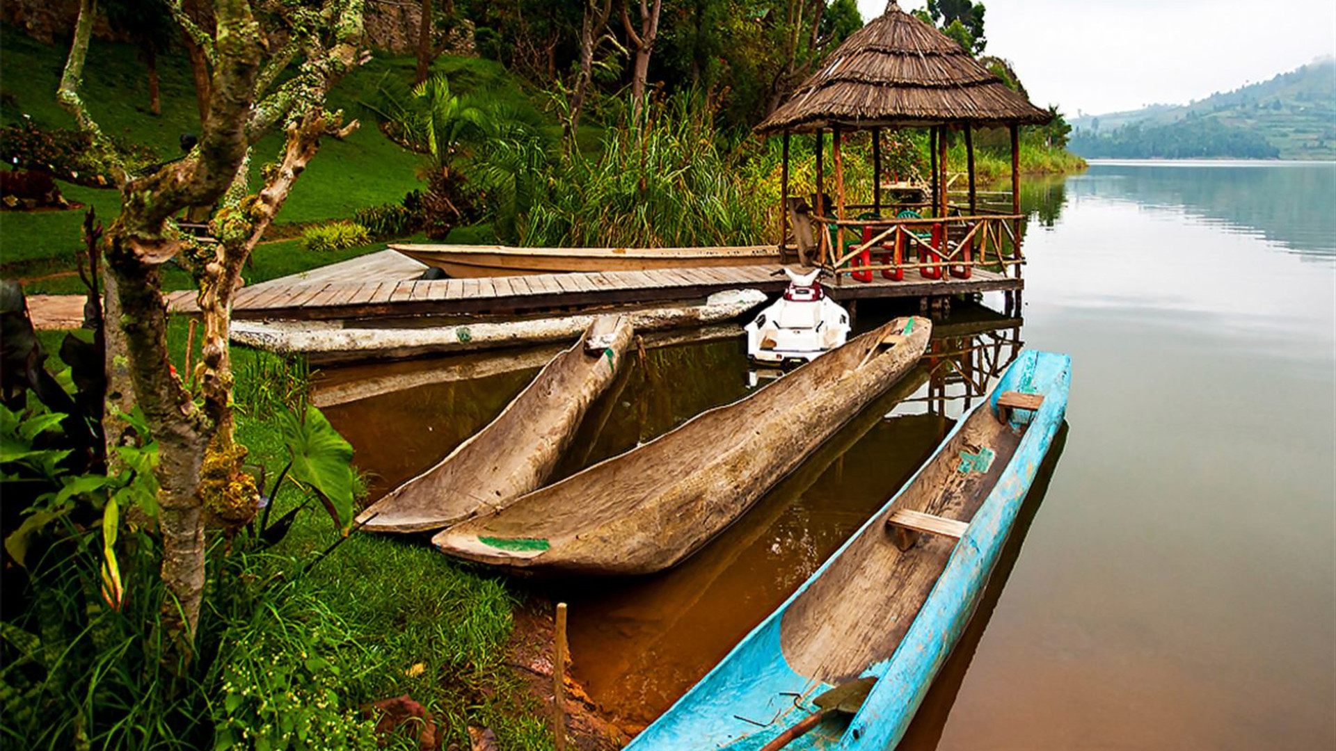 Click to view large image Gorillas of Uganda Overland Safari & Participation Camping