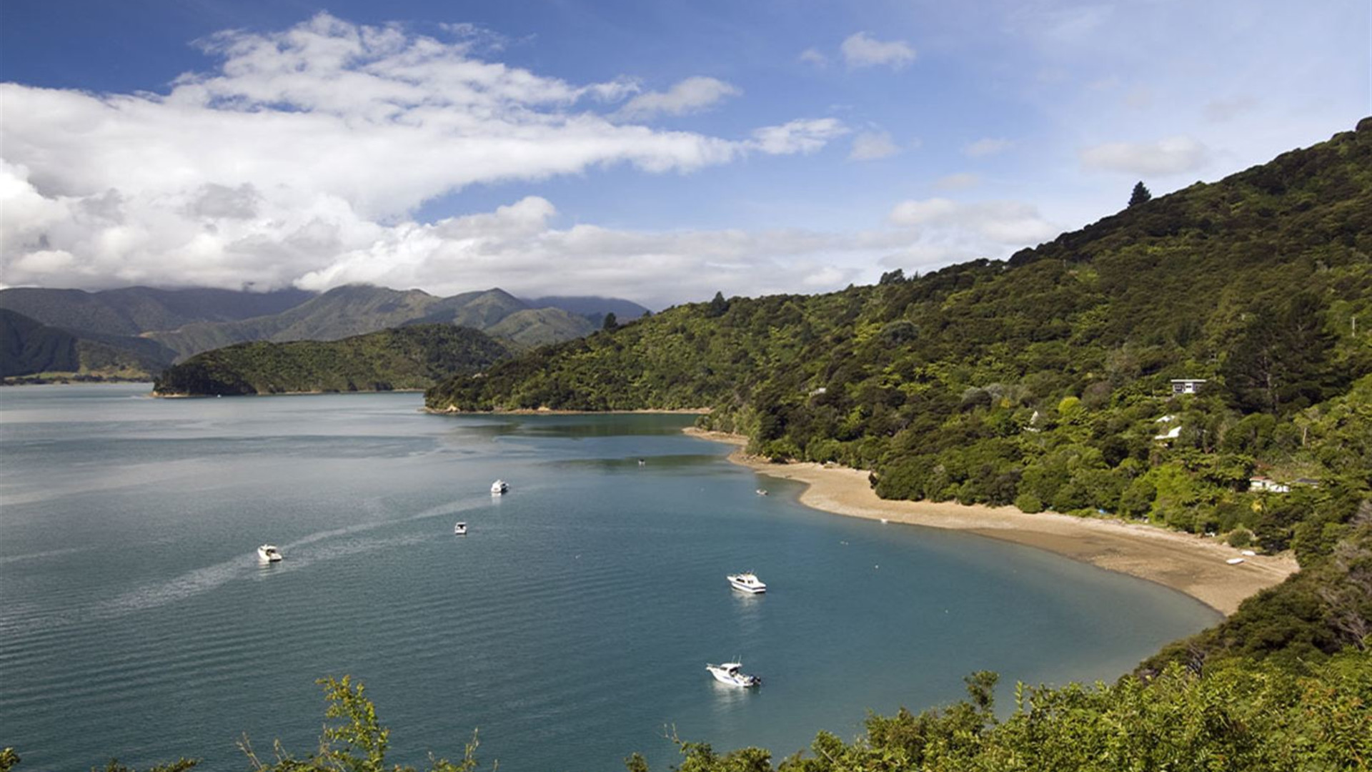 Click to view large image Walk New Zealand's Abel Tasman & Queen Charlotte