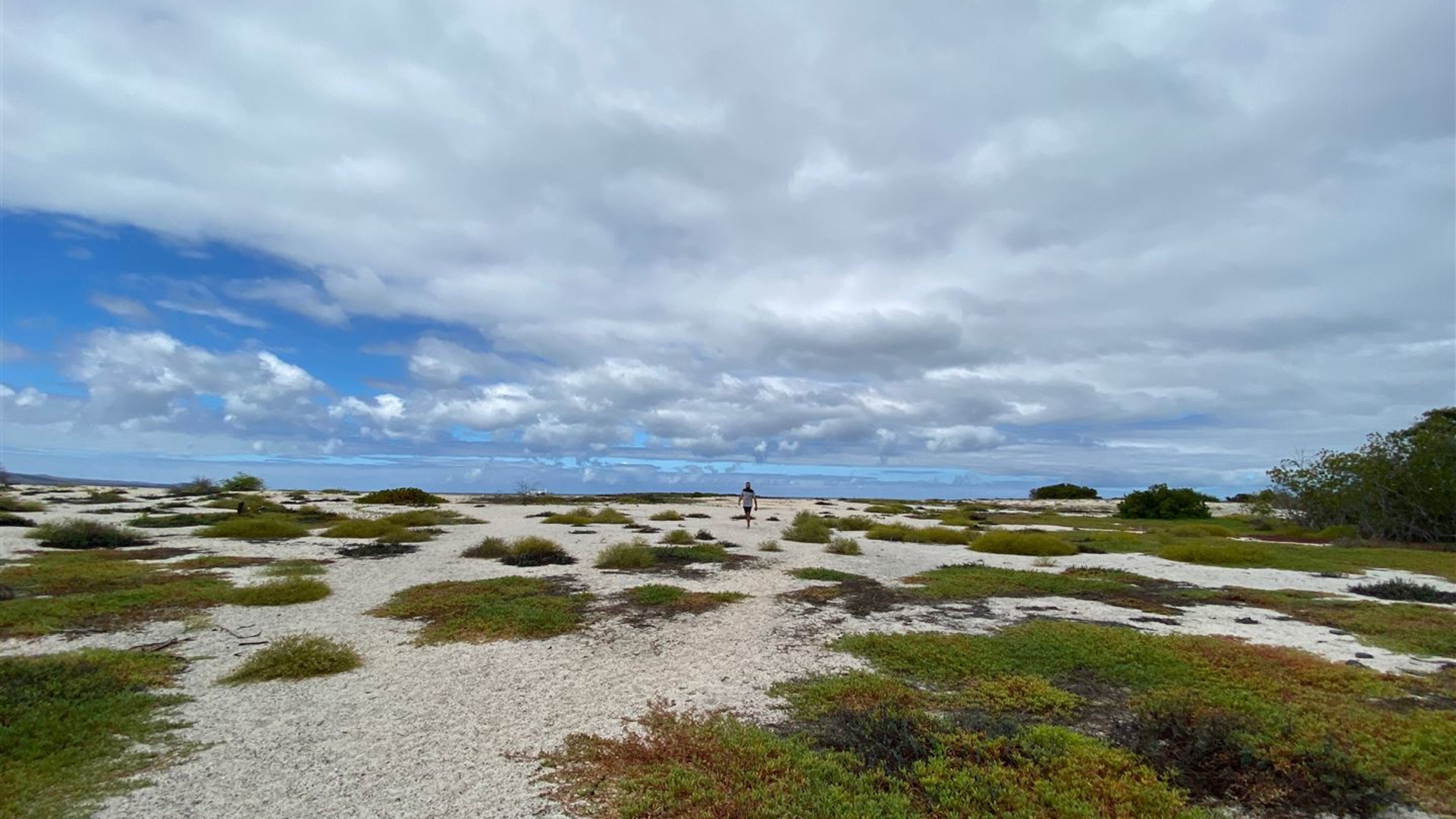 Click to view large image Galapagos — South & East Islands aboard the Eden