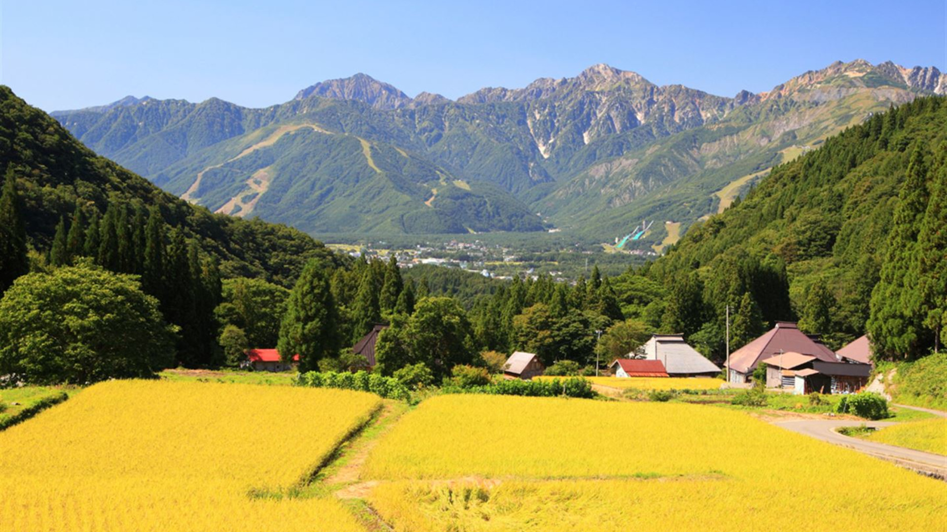 Click to view large image Back Roads of Japan