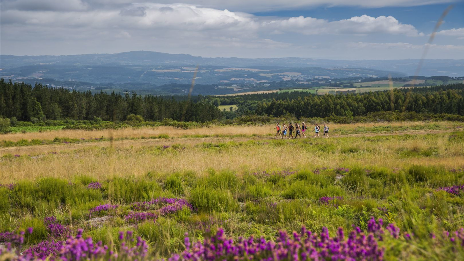Click to view large image Walk the Camino de Santiago