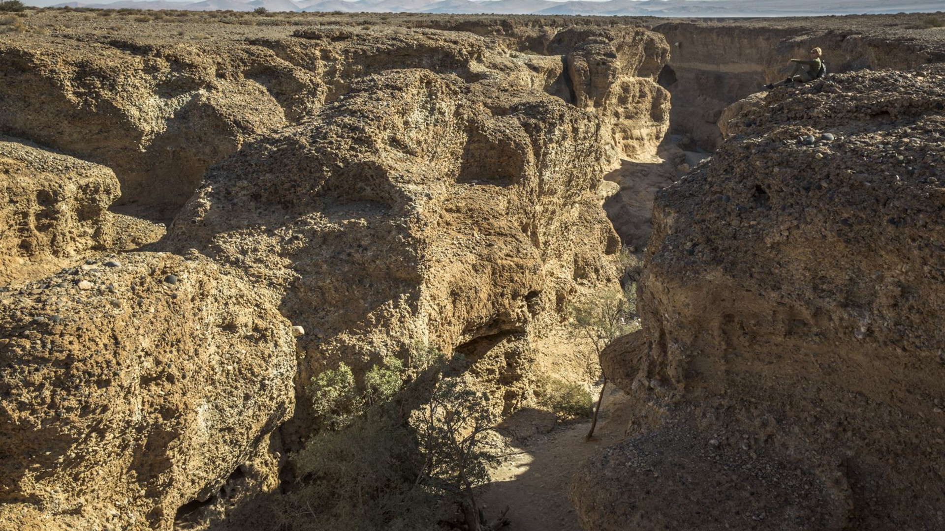 Click to view large image Cape & Dunes Discoverer
