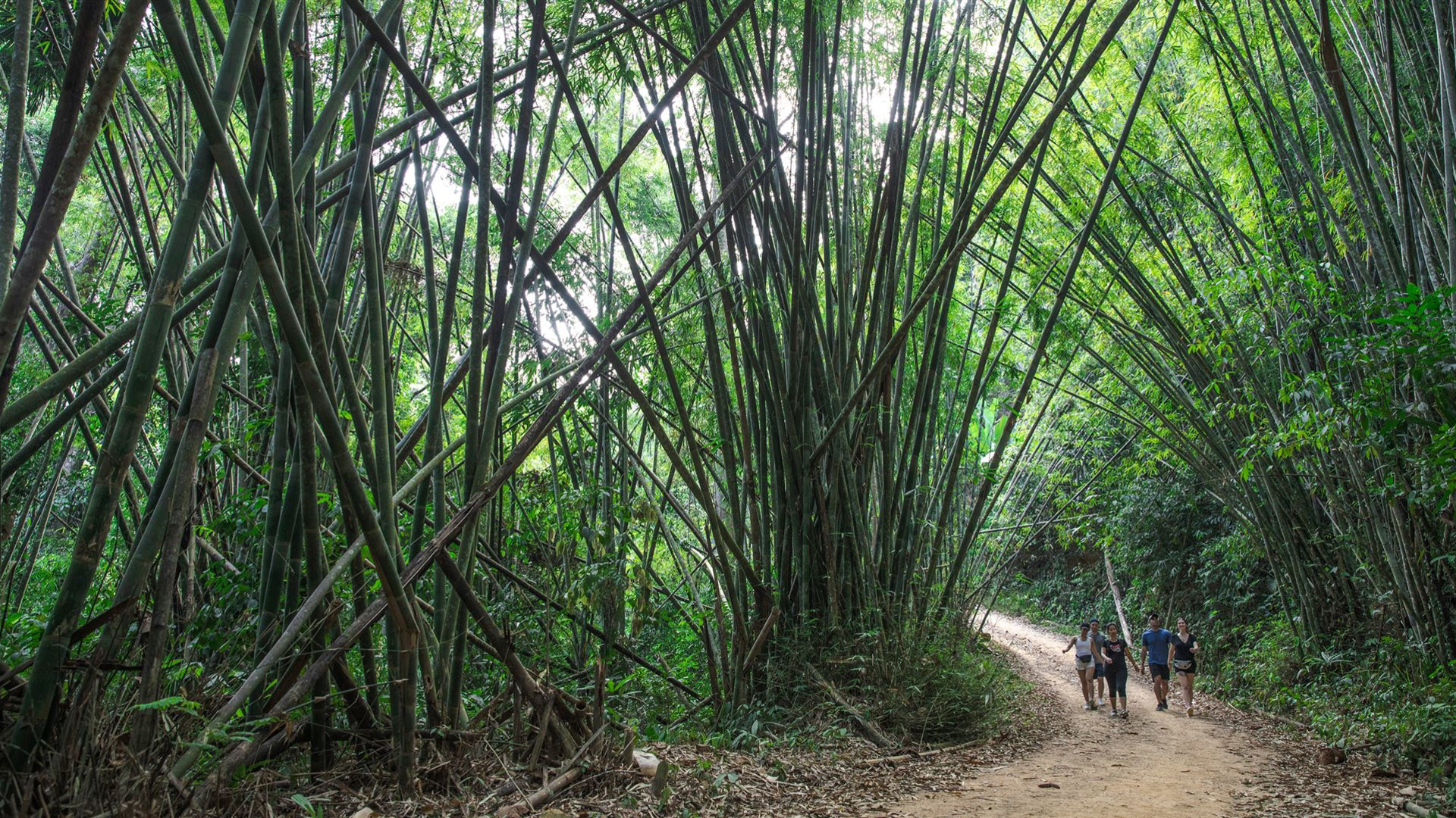 Click to view large image Laos to Northern Thailand: Treks & Trails