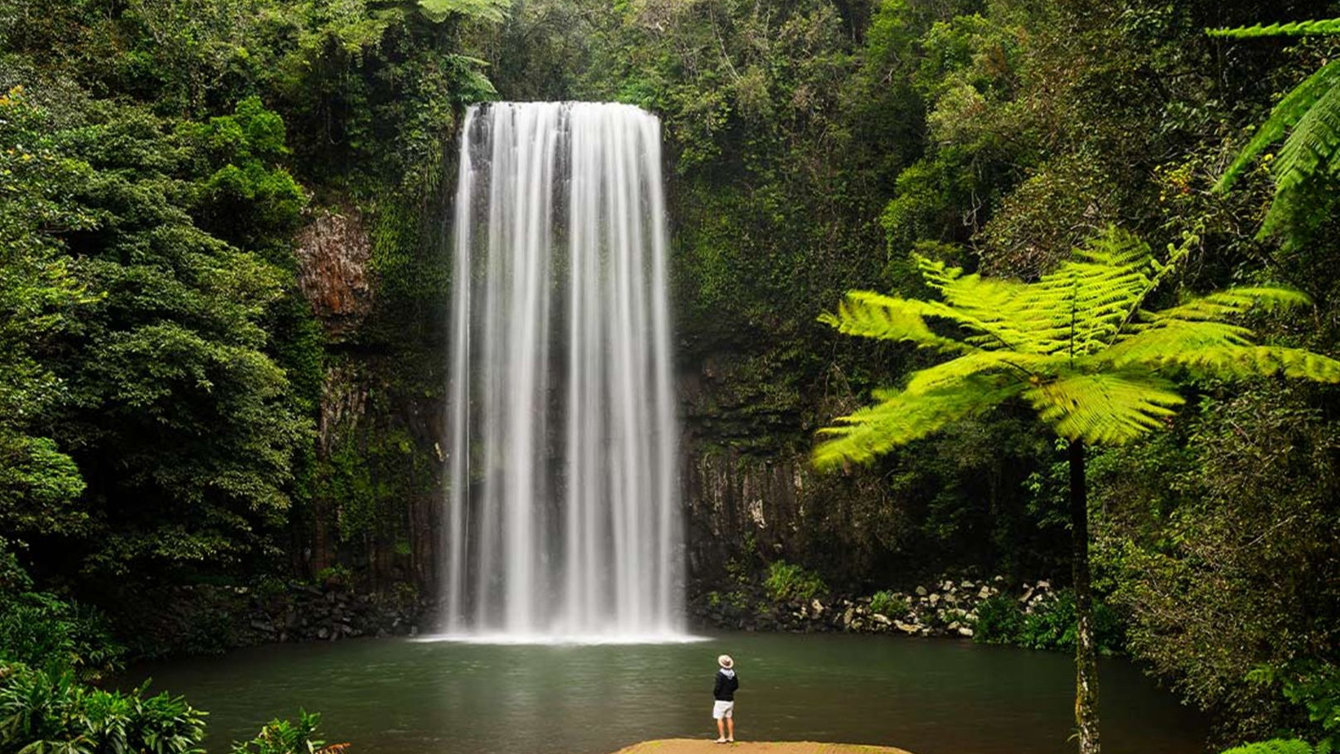 Click to view large image Brisbane to Cairns Adventure