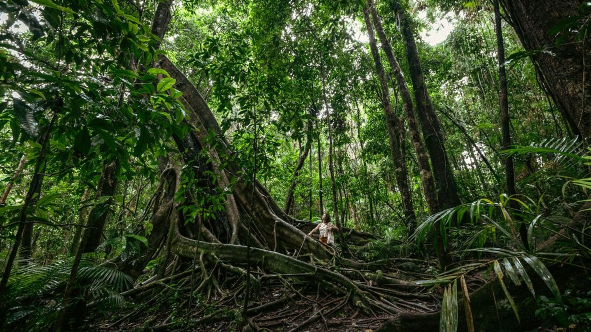 Click to view large image North Queensland Adventure