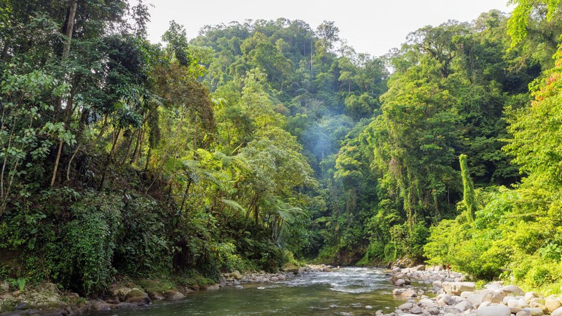 Click to view large image Sumatra Adventure