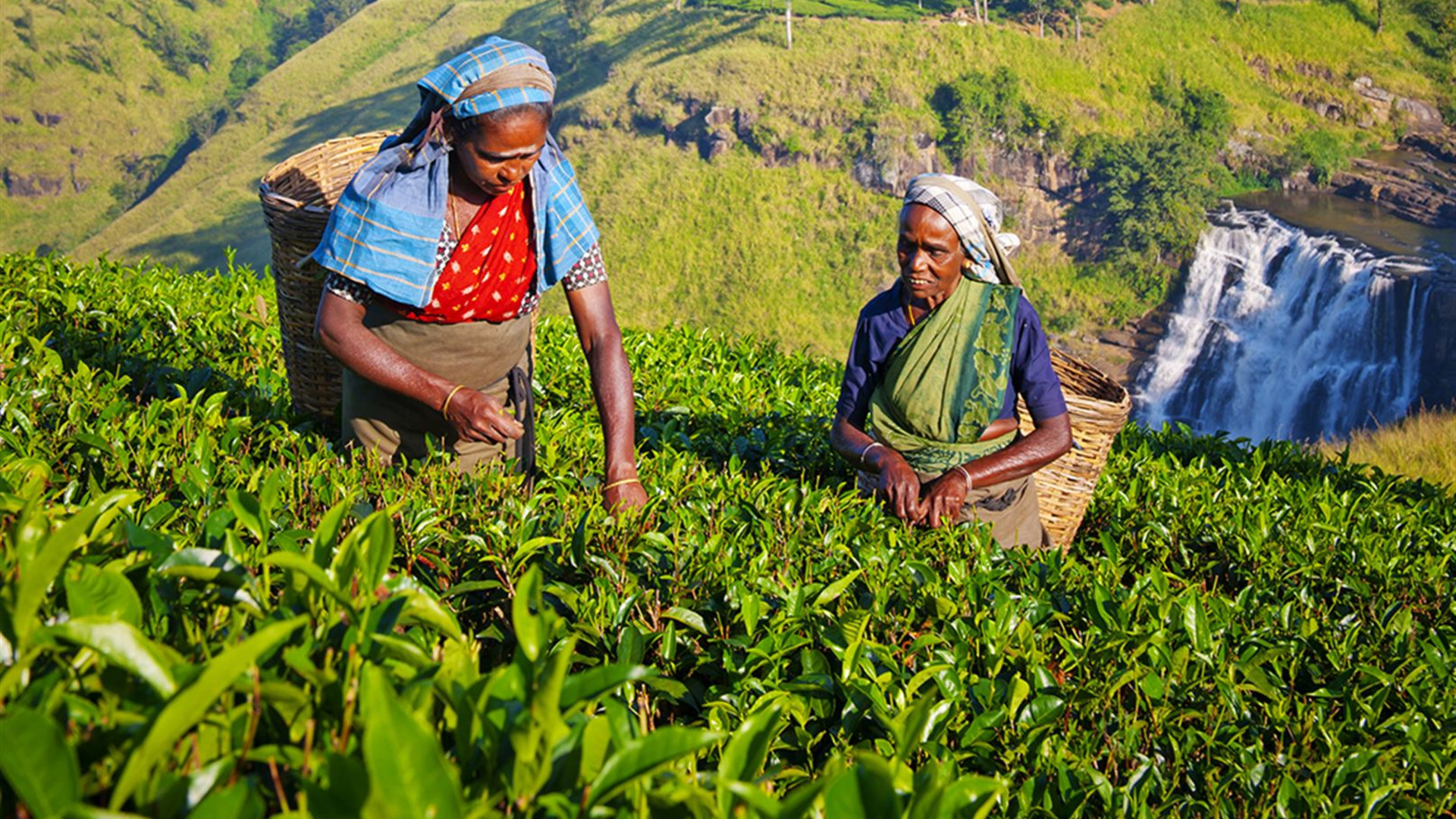 Click to view large image Sri Lanka: Hike, Bike & Kayak
