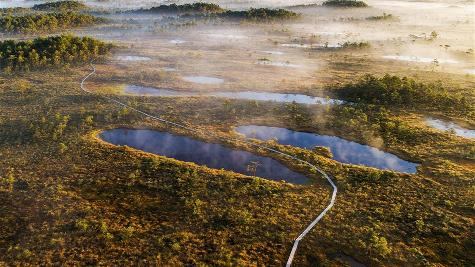 Click to view large image Premium Baltics
